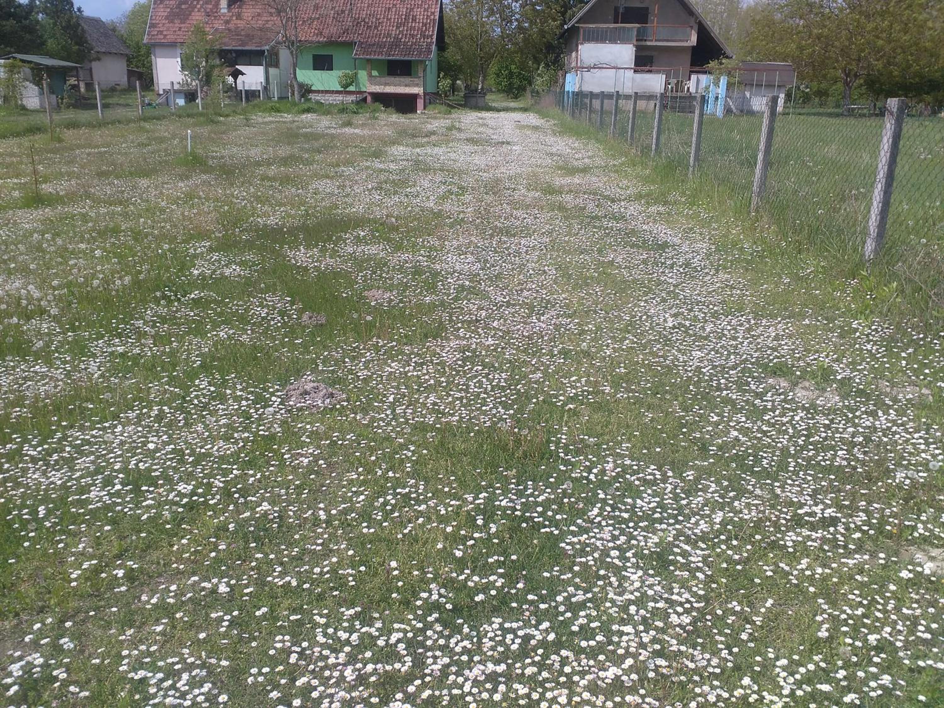 Photo 30