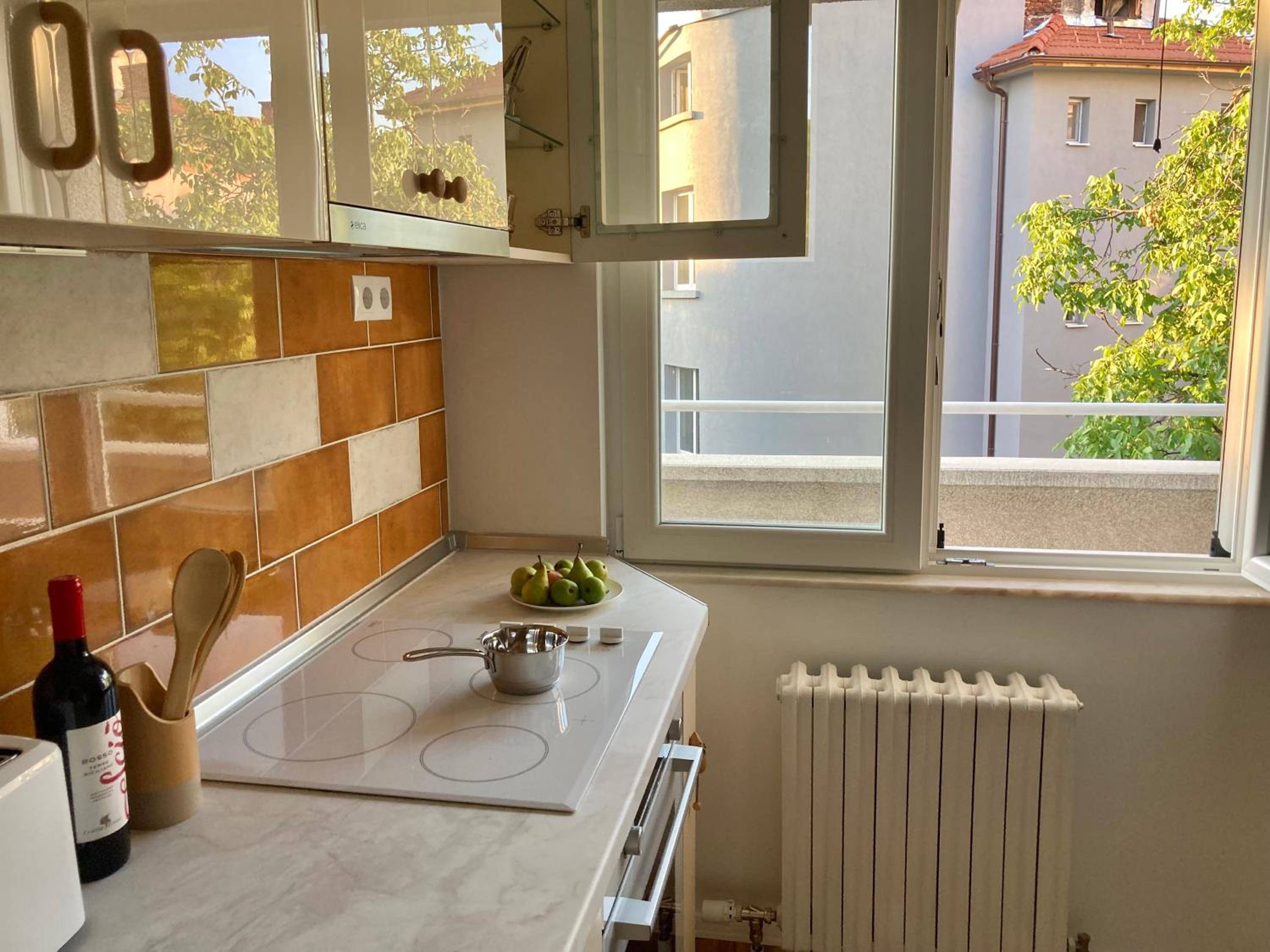 Orfey Apartment view 5