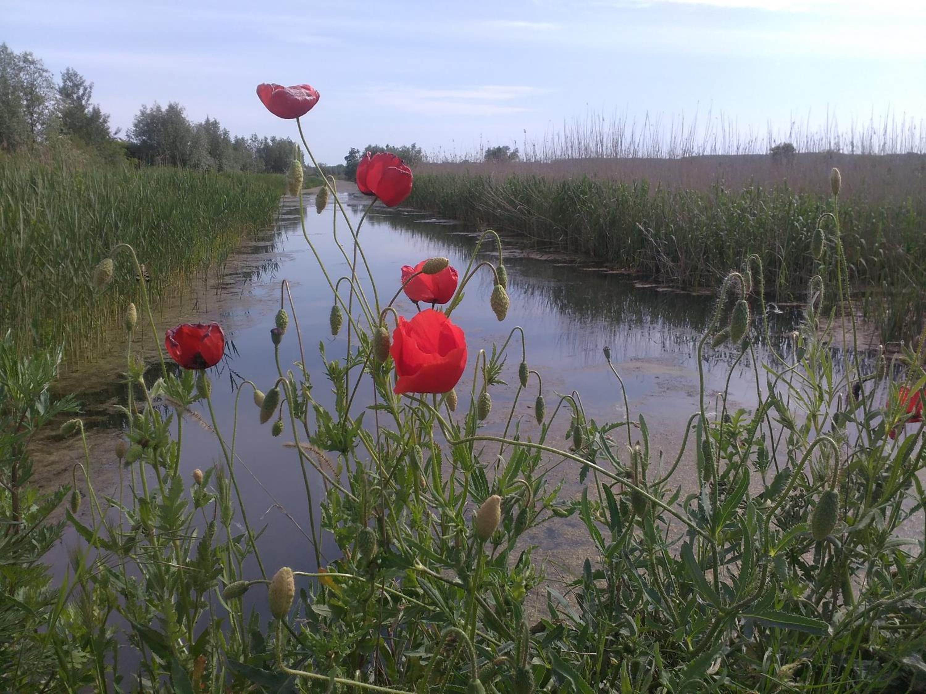 Photo 40