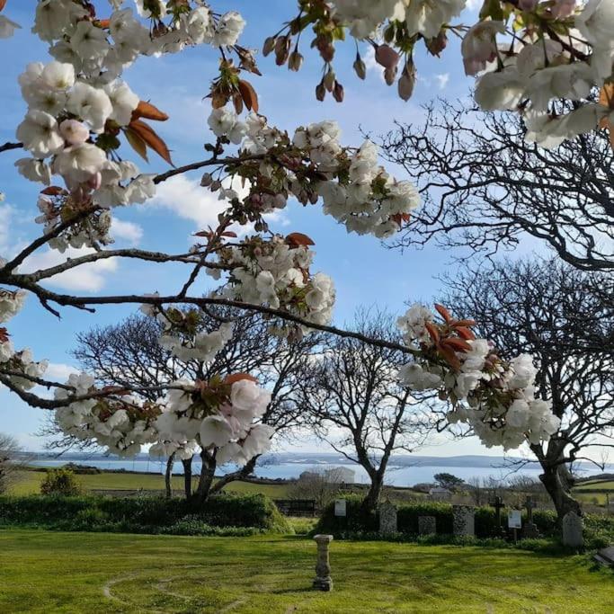 Corvus - Beautiful cottage half a mile from Mousehole view 5