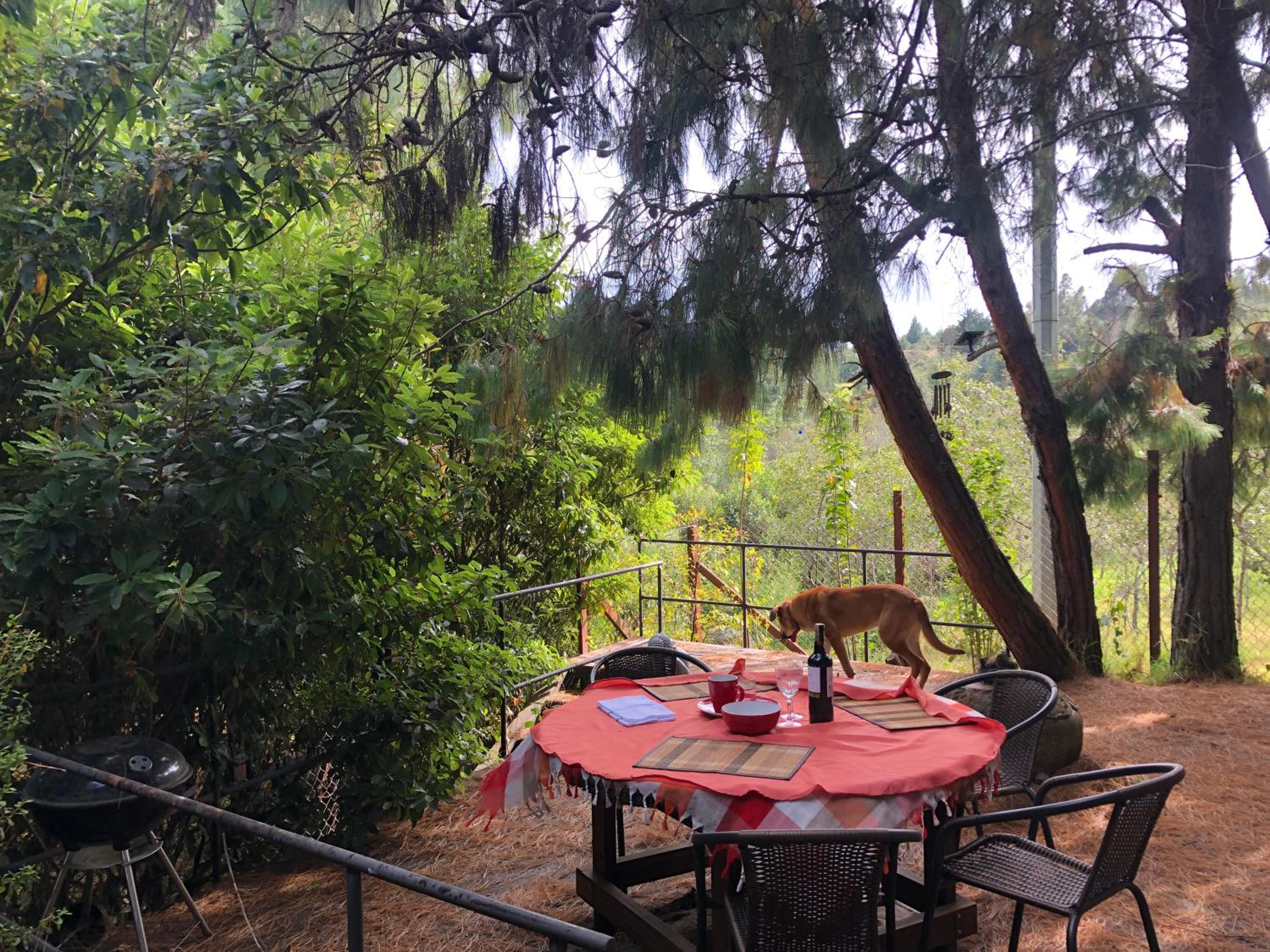 Cabaña Campestre La Rayuela-Fuquene