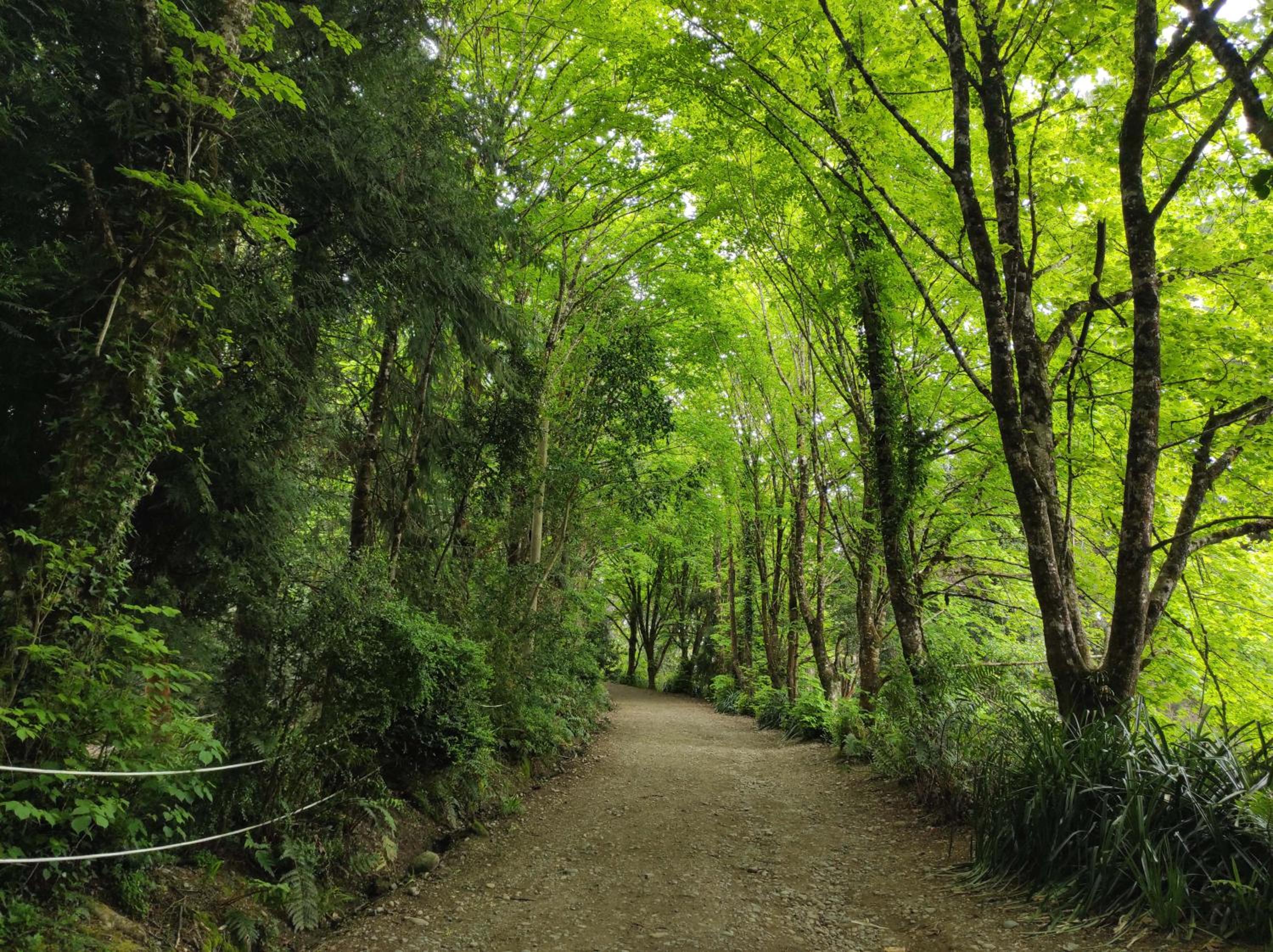Puerto Varas, Departamento céntrico dos personas Yourhomepv