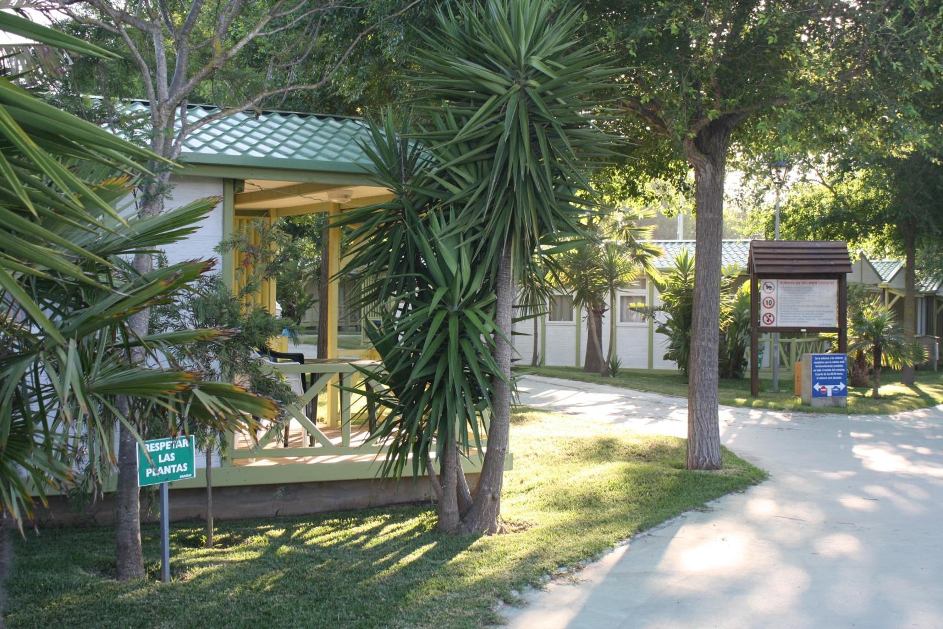 Glamping -Bungalows El Faro view 4