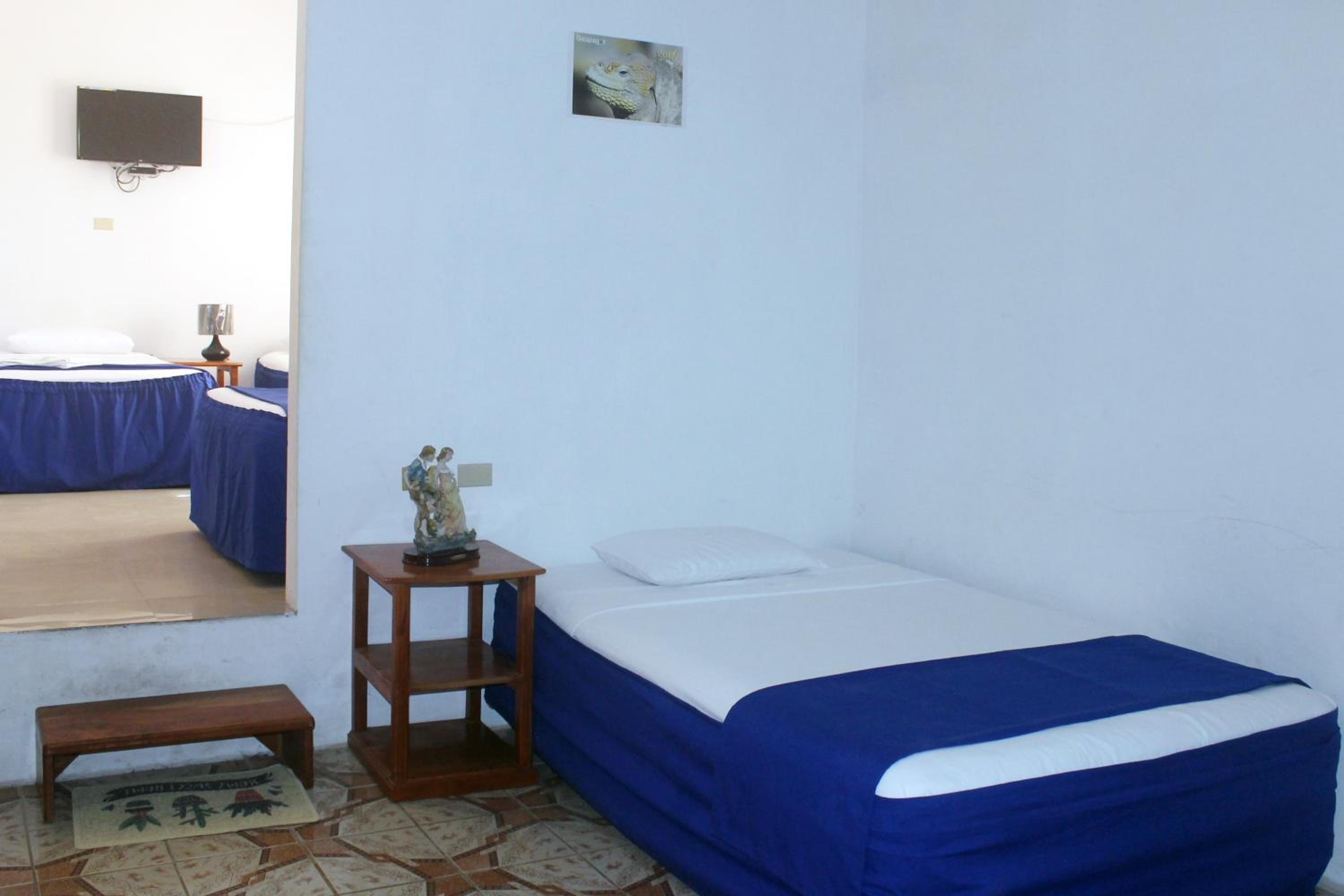 Photo 46