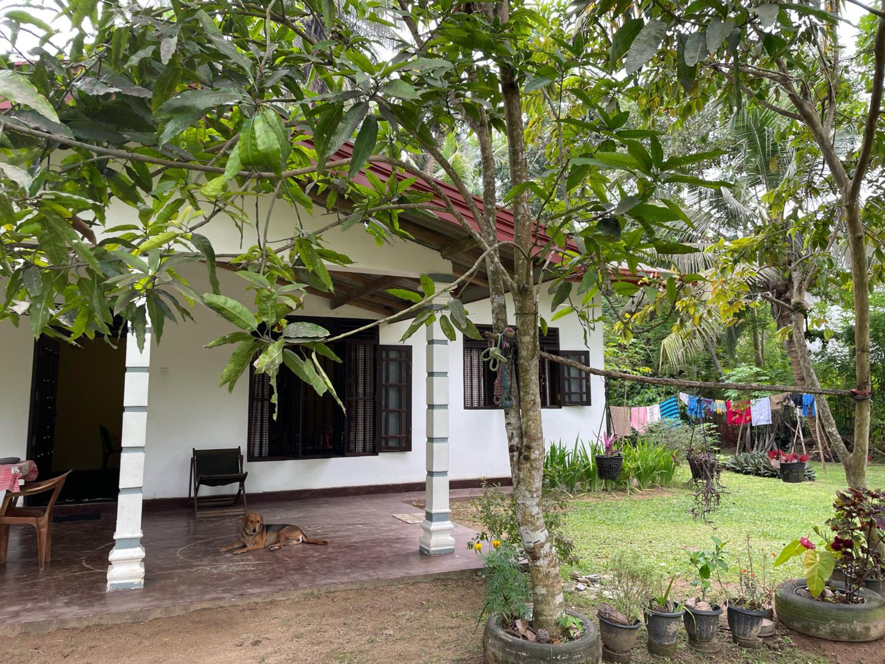 Mahiru Homestay