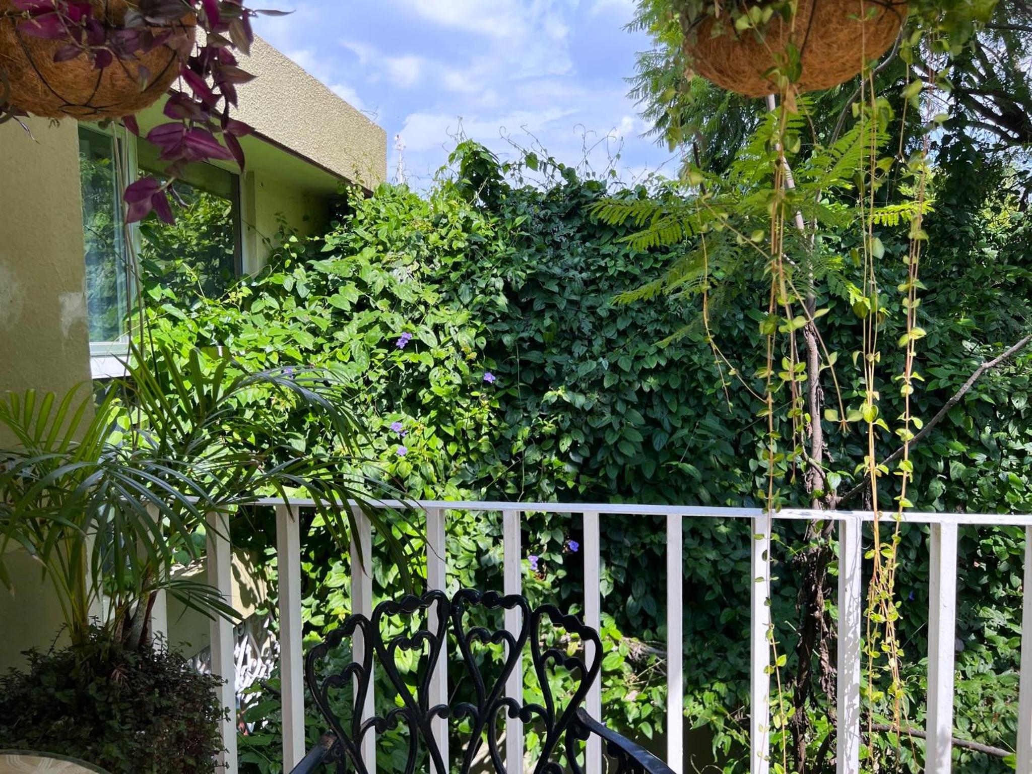 Dickinson Guest House, Guadalajara Expo