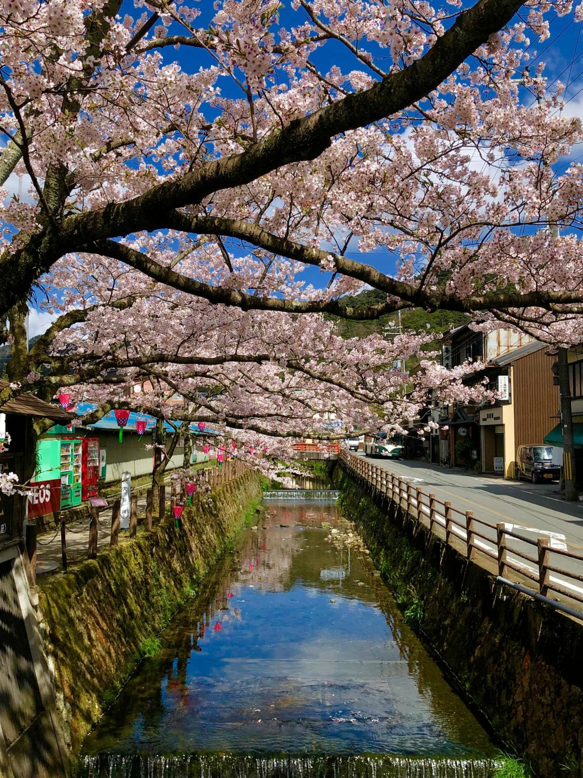 Tsutaya Ryokan