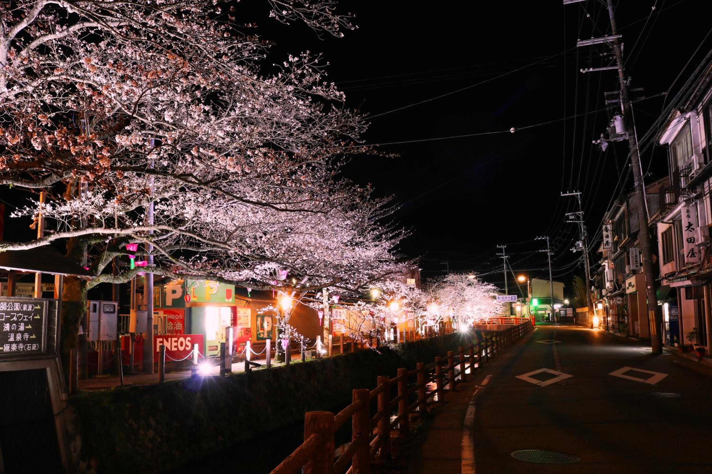 Tsutaya Ryokan