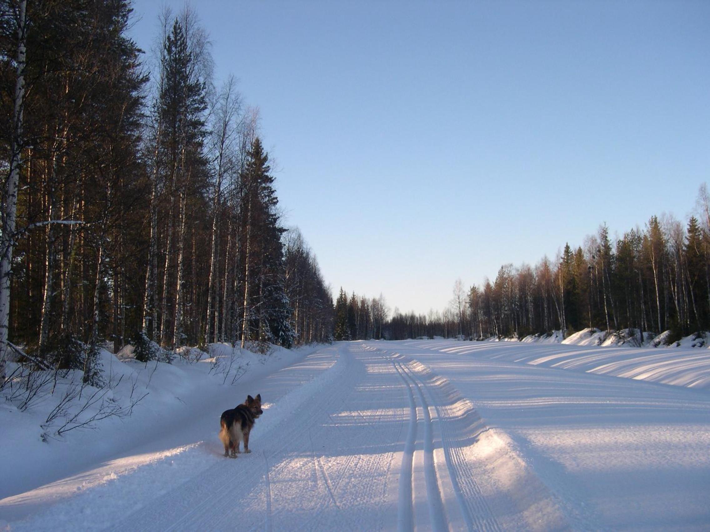 Photo 44