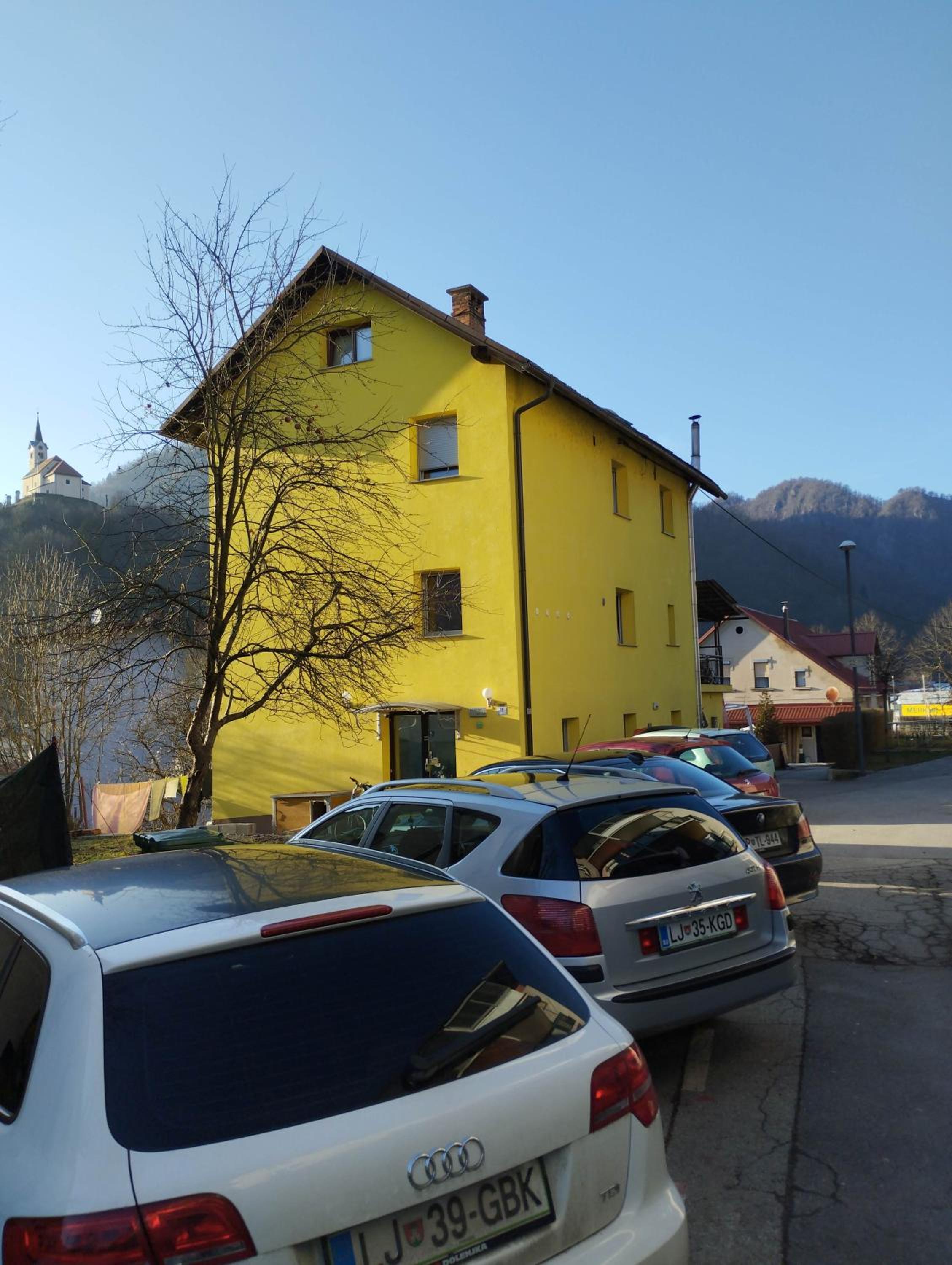Dogs baronesse Pasja grofica Idrija