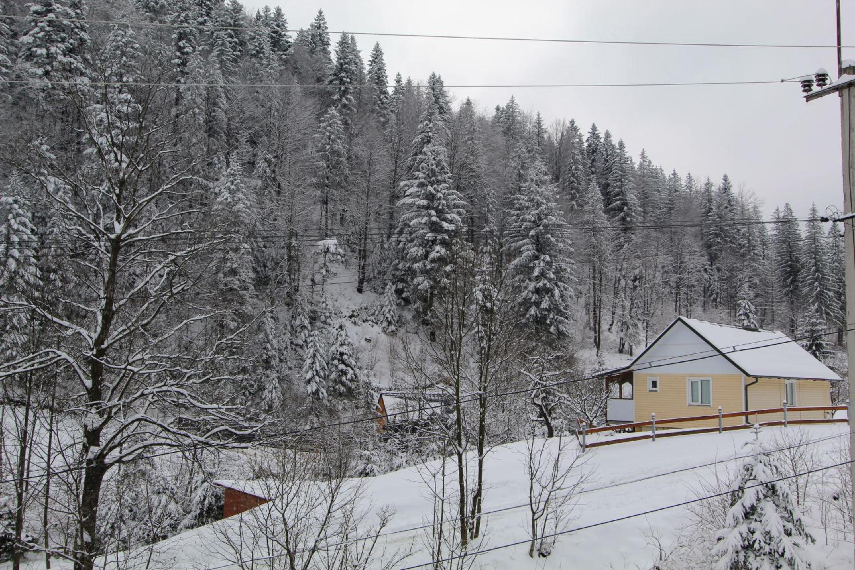 Photo 25