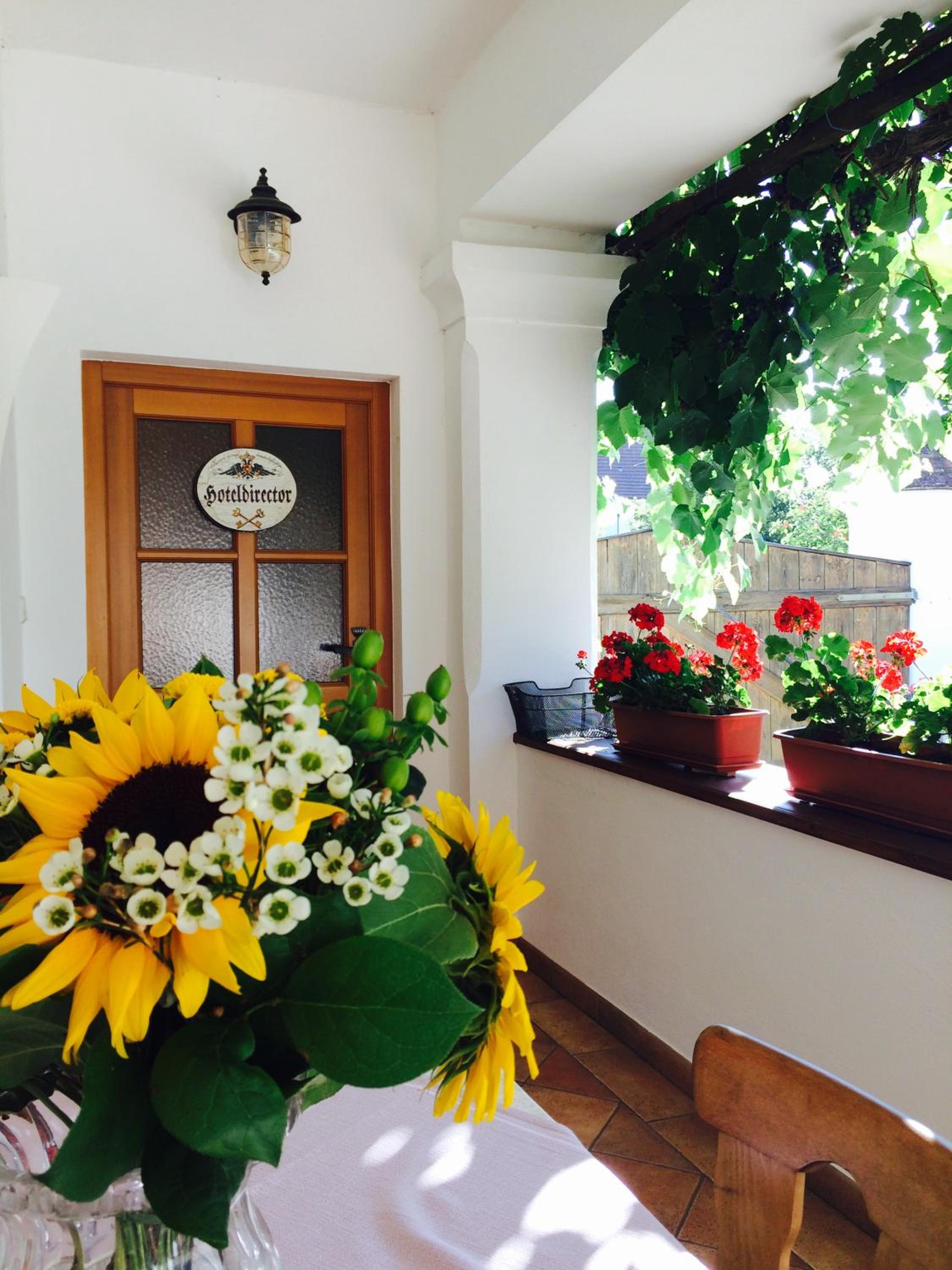 Pension Buch, Bed and Breakfast