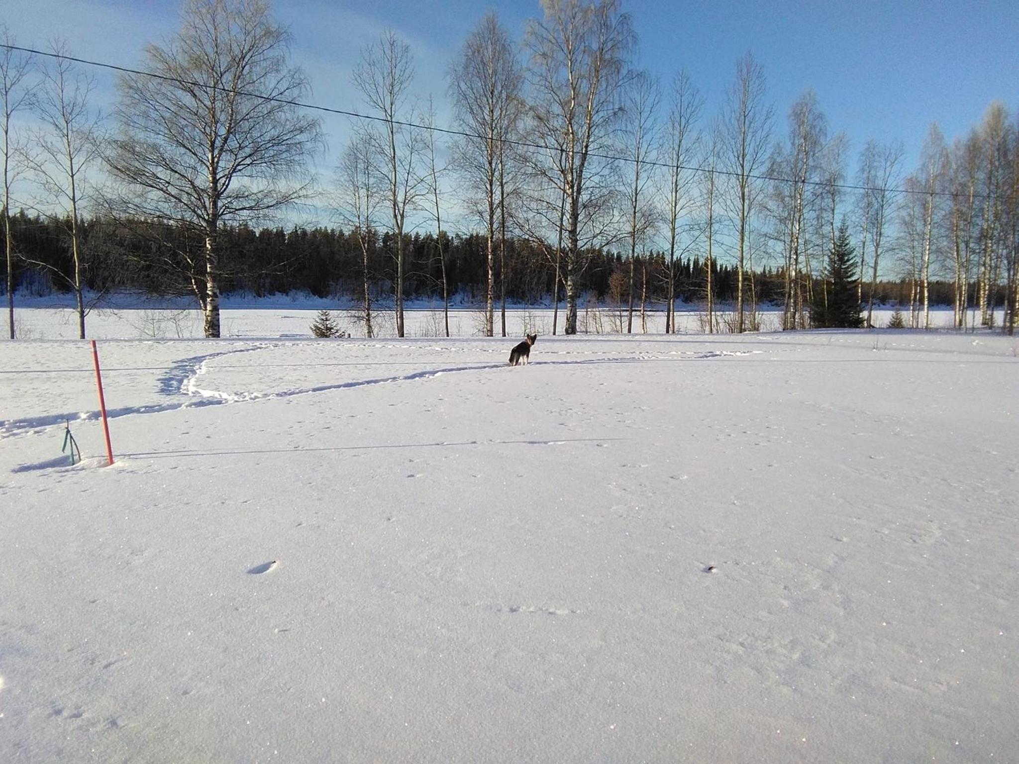 Photo 51