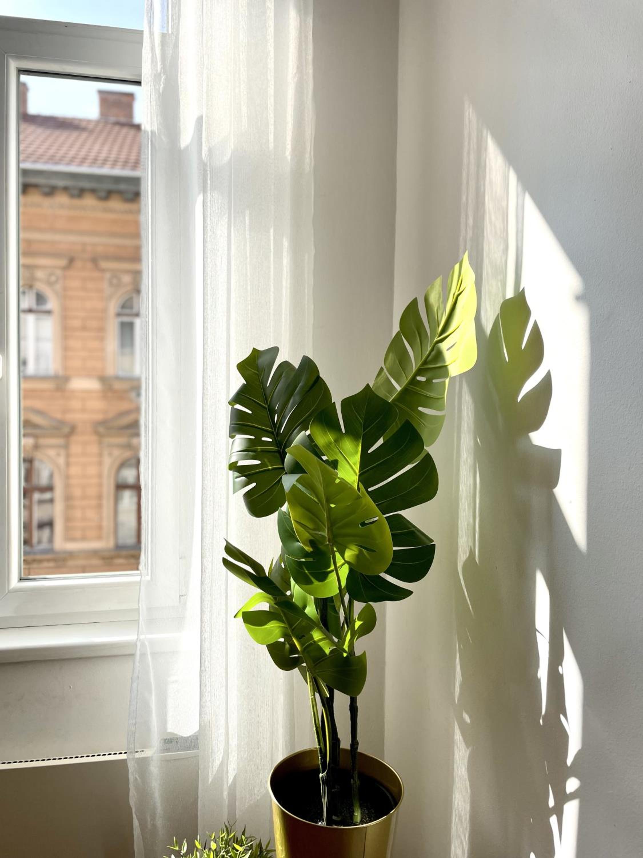 Eotvos 25 Apartment