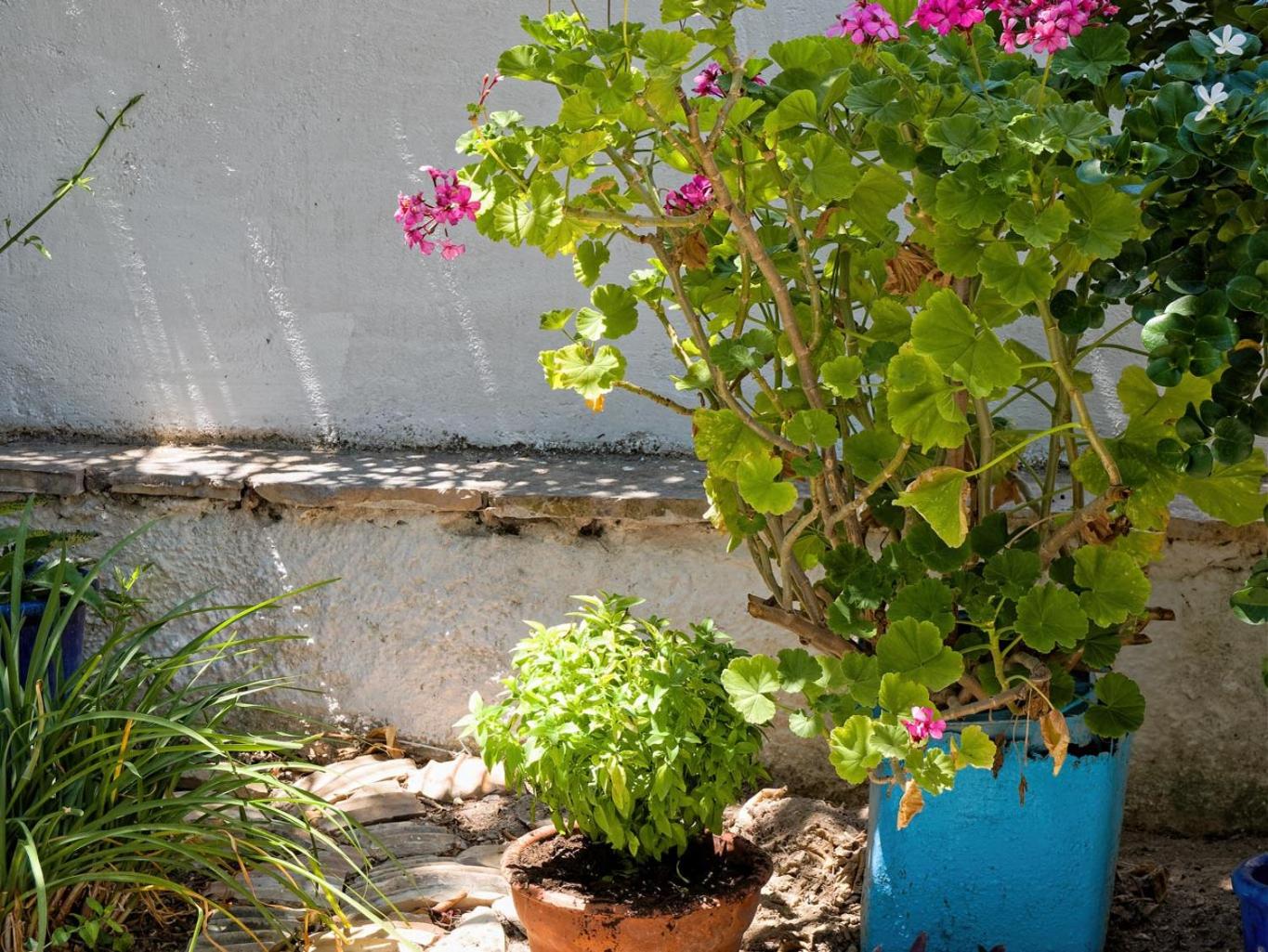 Summer Garden Studio - village location photo 2