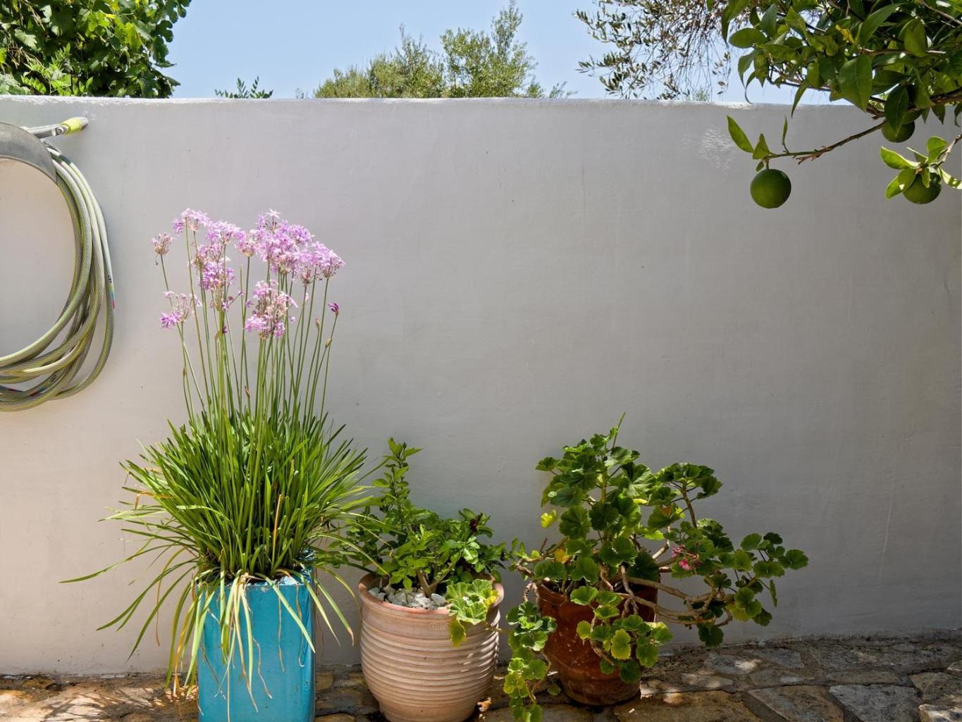 Summer Garden Studio - village location