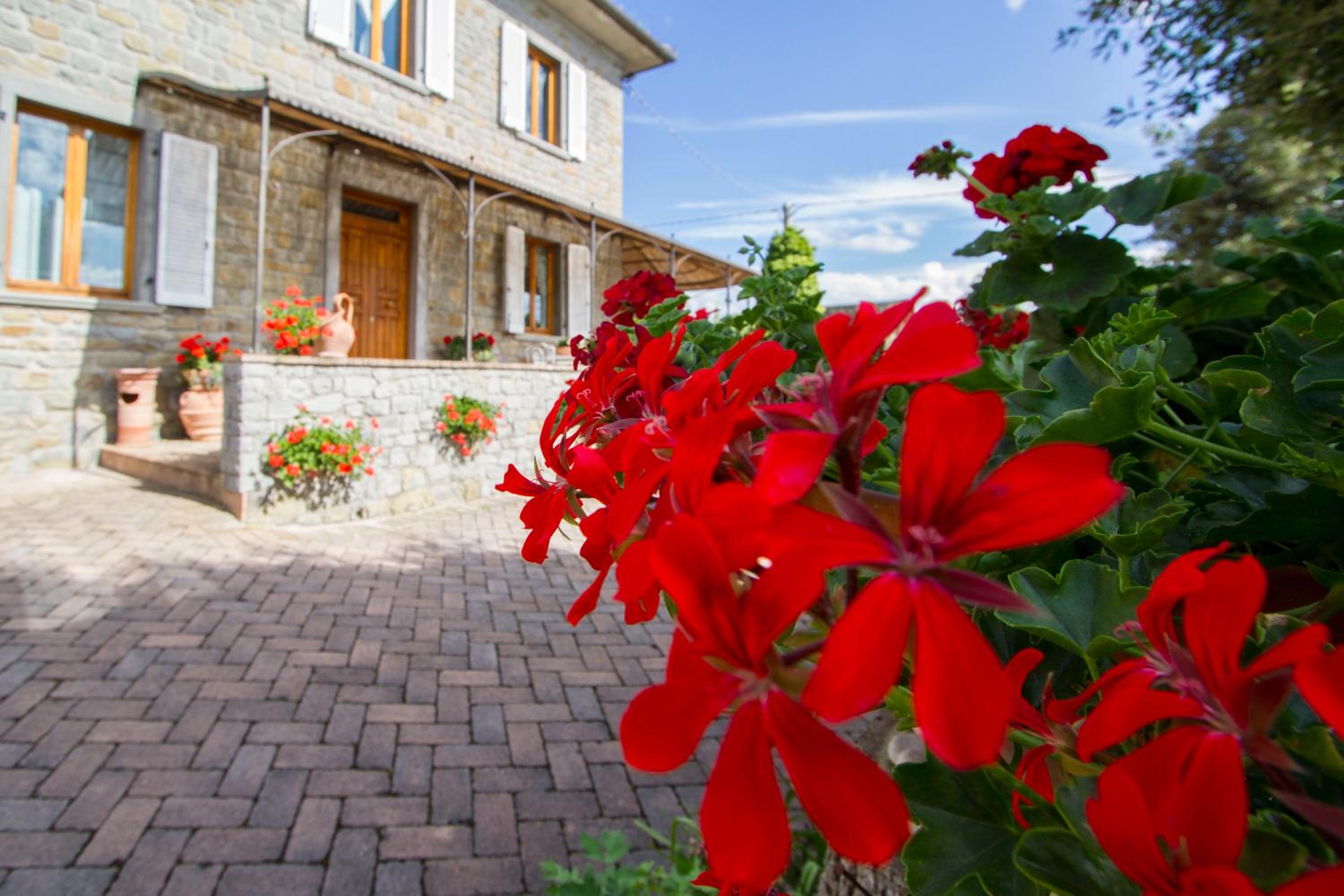 Casa Pupa- Azienda Fontelunga view 2