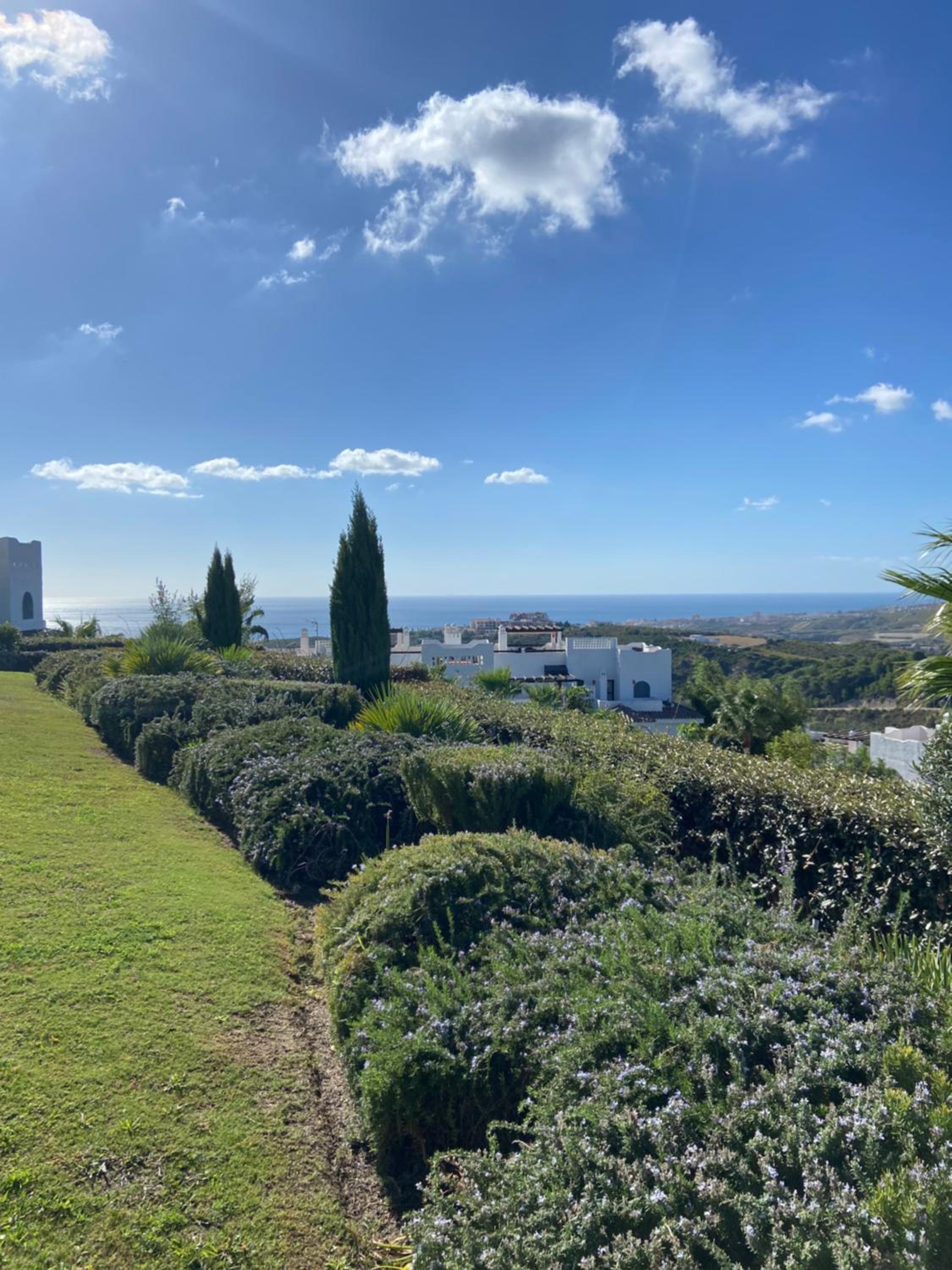 Augusta Views