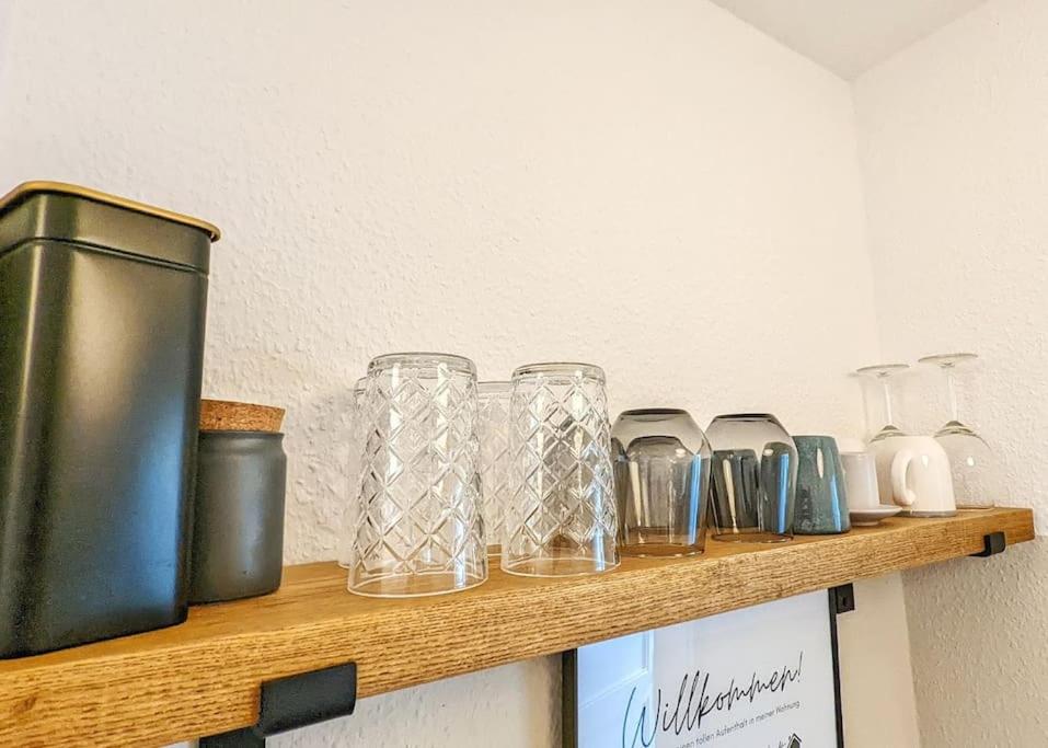 Stylisches Villa-Apartment in Schlossgartennähe