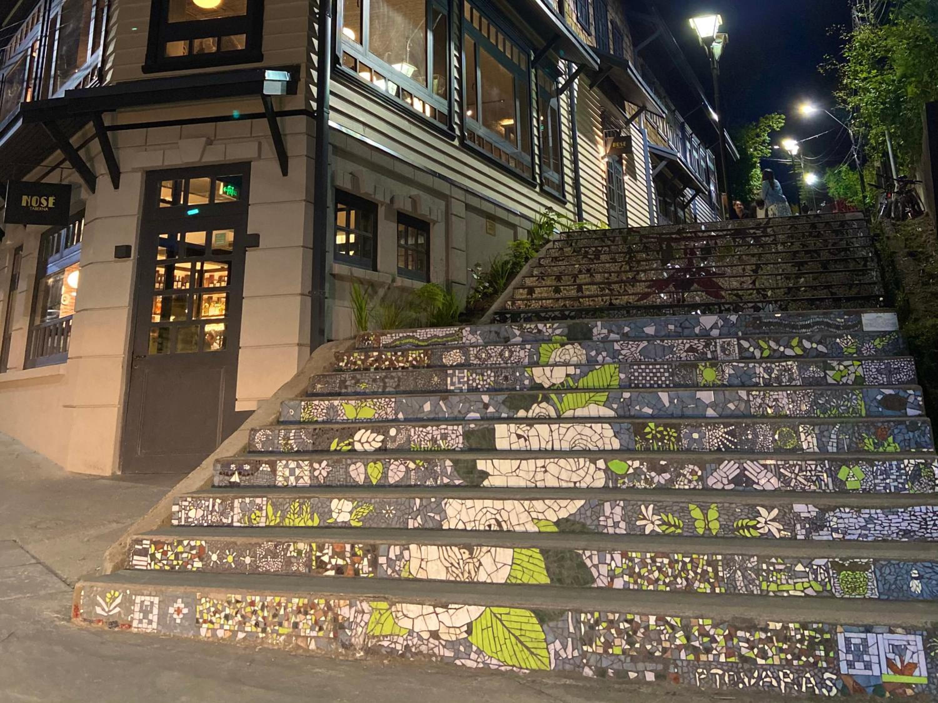 Puerto Varas, Departamento céntrico dos personas Yourhomepv