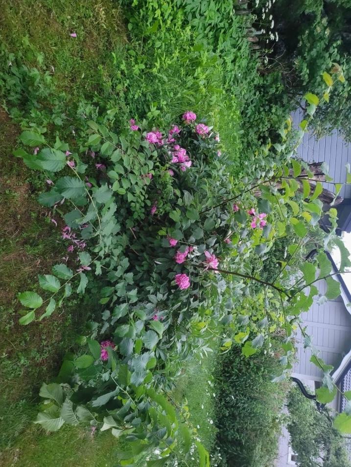 Photo 21