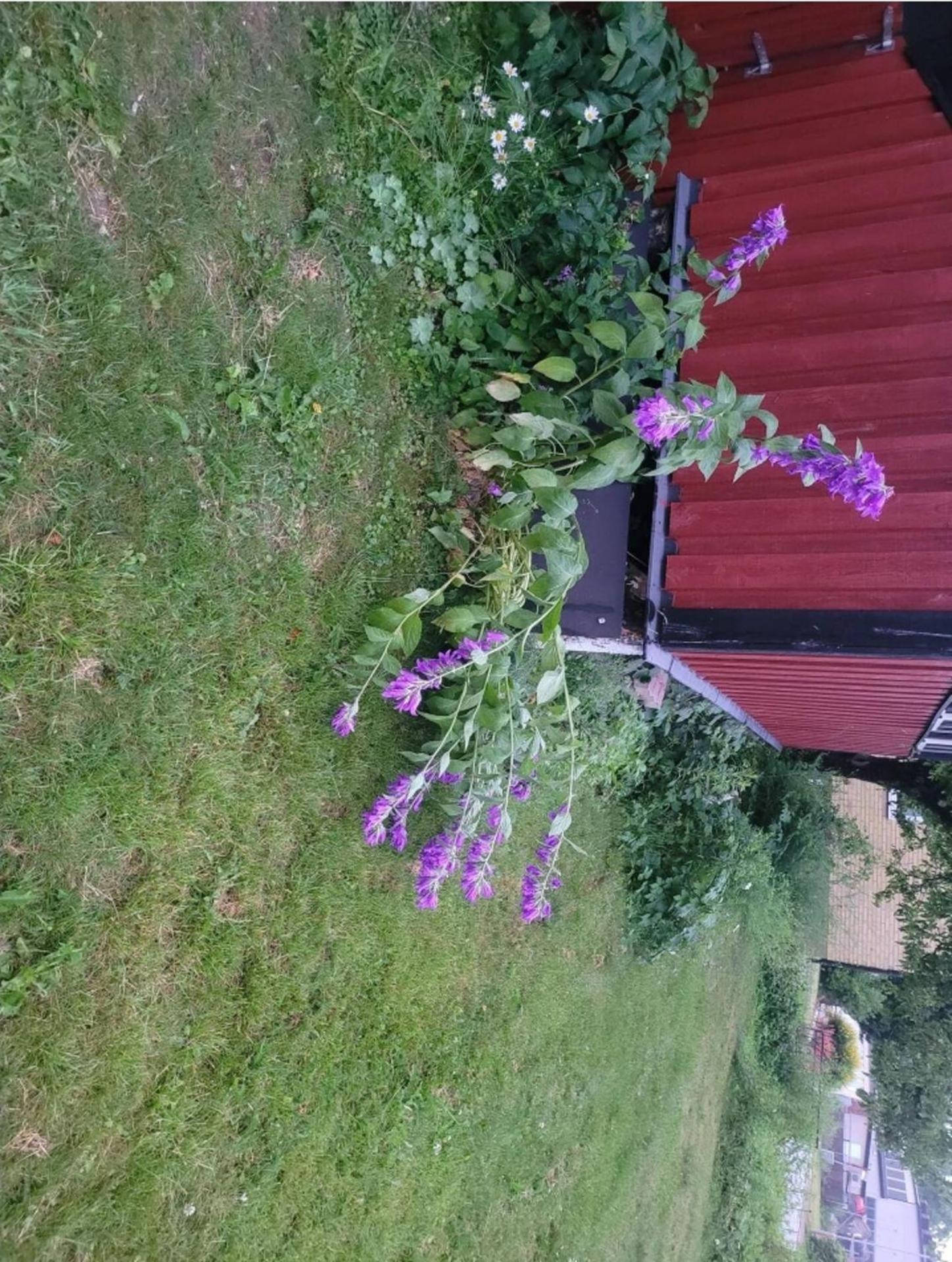 2 bed room Quite and central house in Orebro view 2