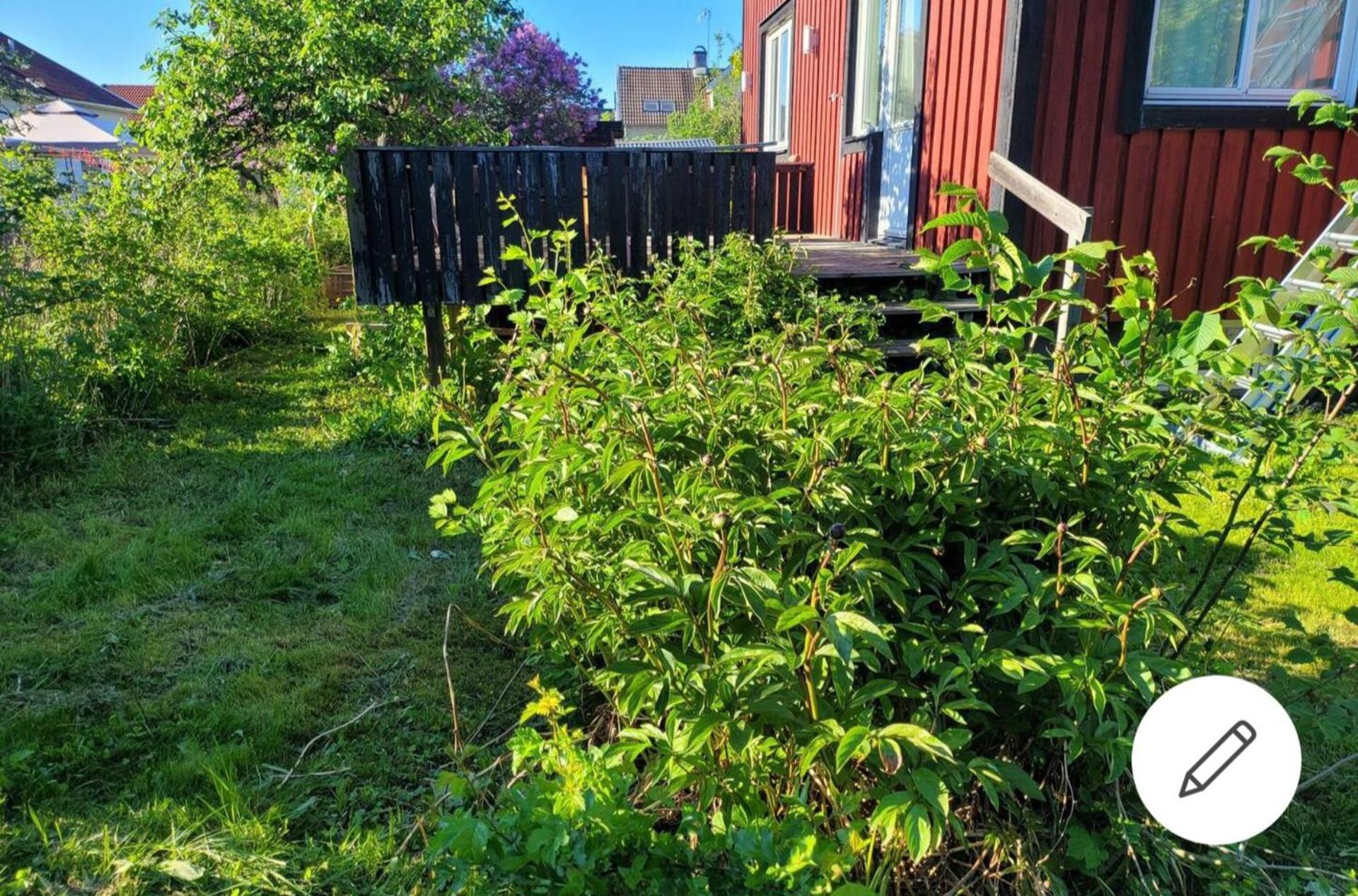Photo 32