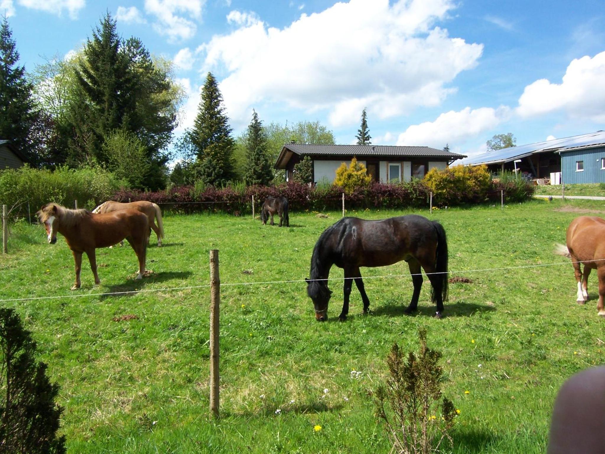 Ferienhaus-Hotel 