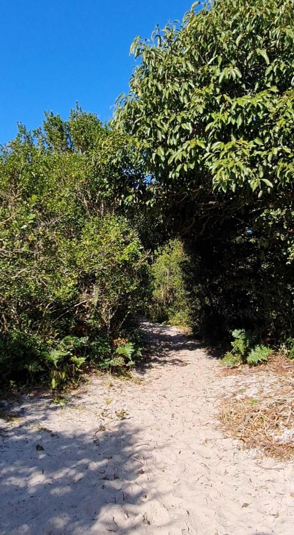 Quinta do Moçambique