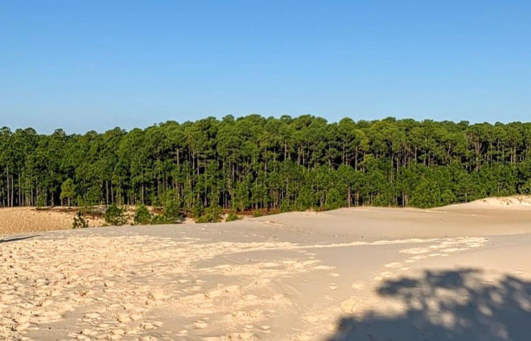 Quinta do Moçambique