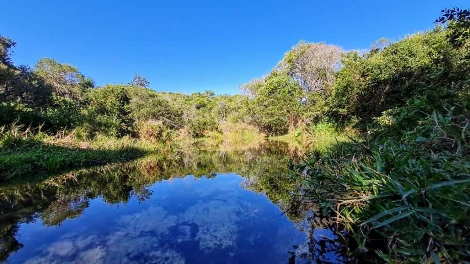 Quinta do Moçambique