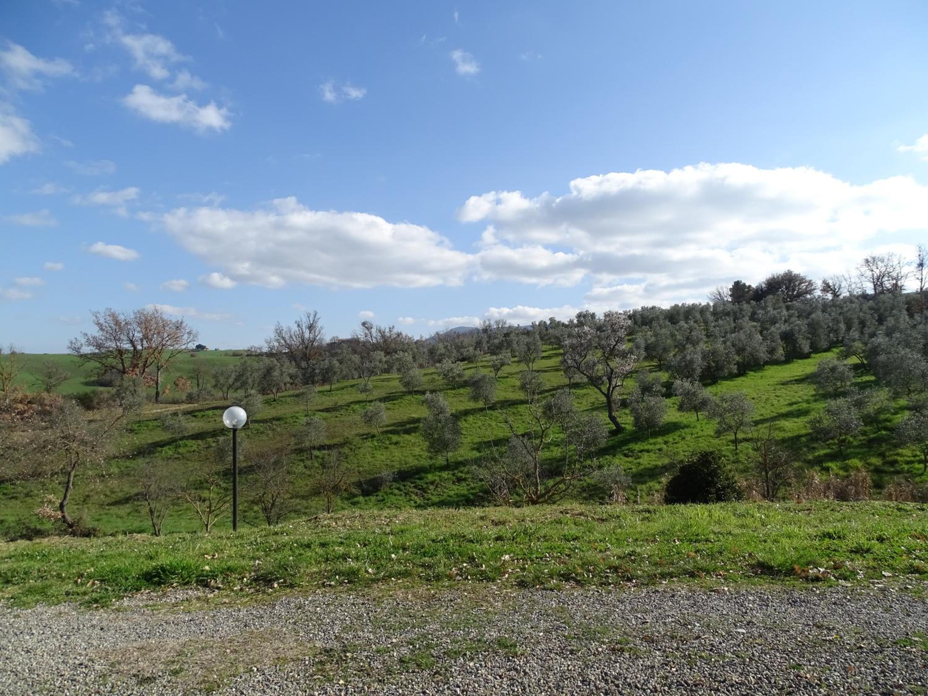 Podere Travagliola