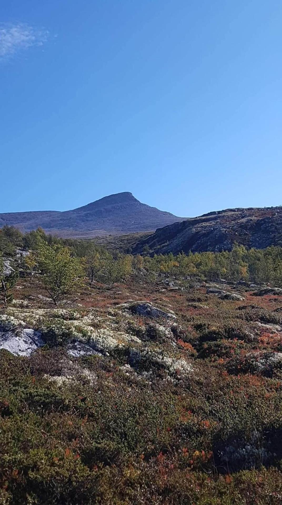 Bakken Gårdshus