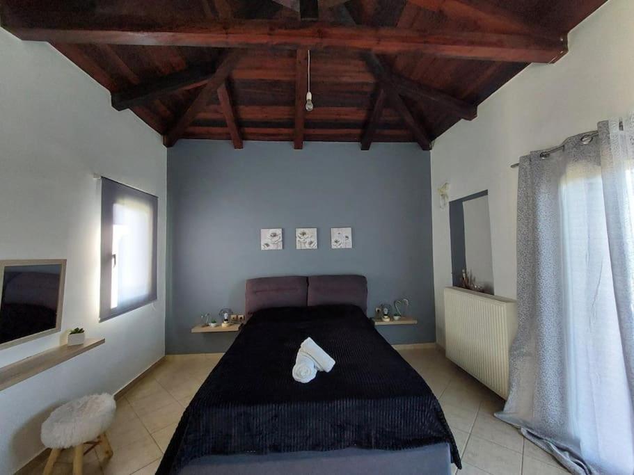 Dimitra's Villa in Evia, Greece view 4