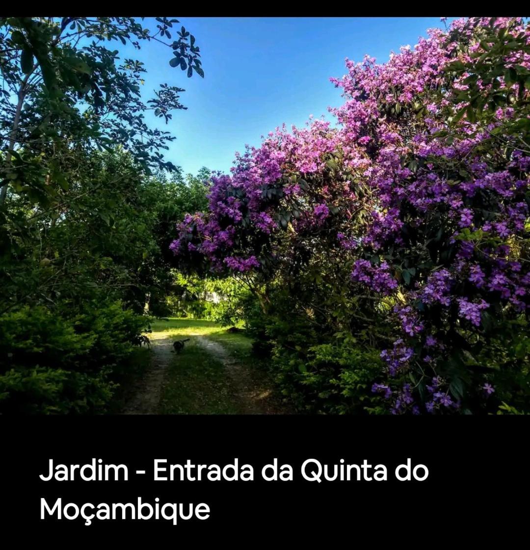 Quinta do Moçambique