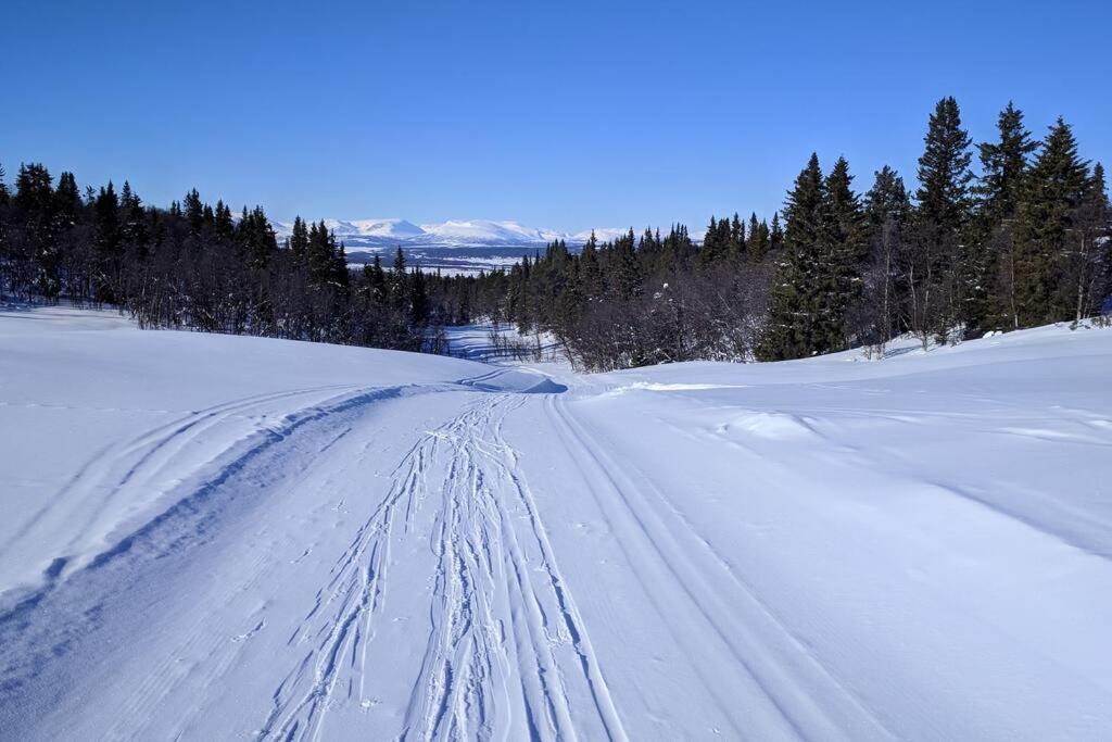 Photo 23