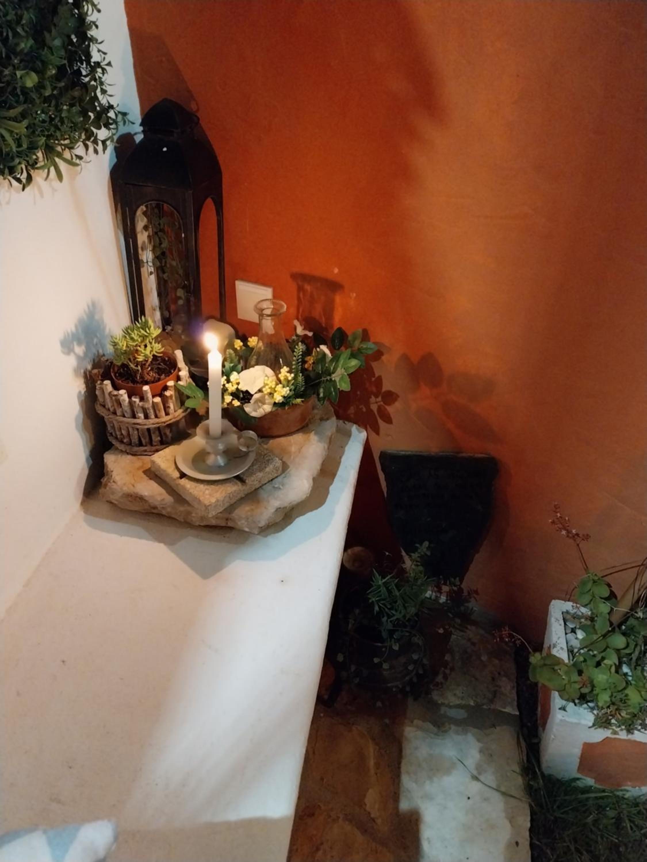 Casa Odélia view 4