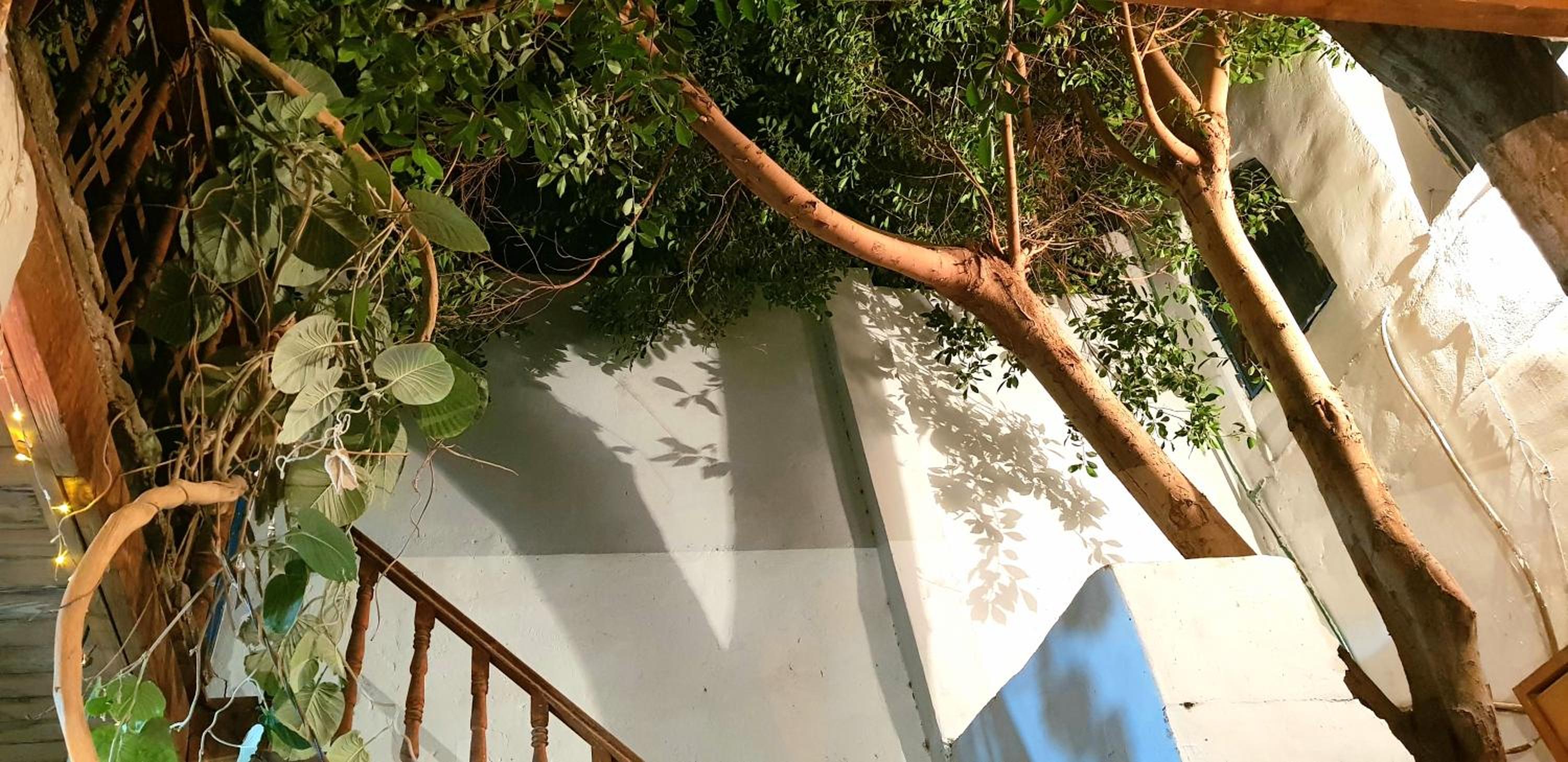 HabuHeritageHomeStayInLuxor