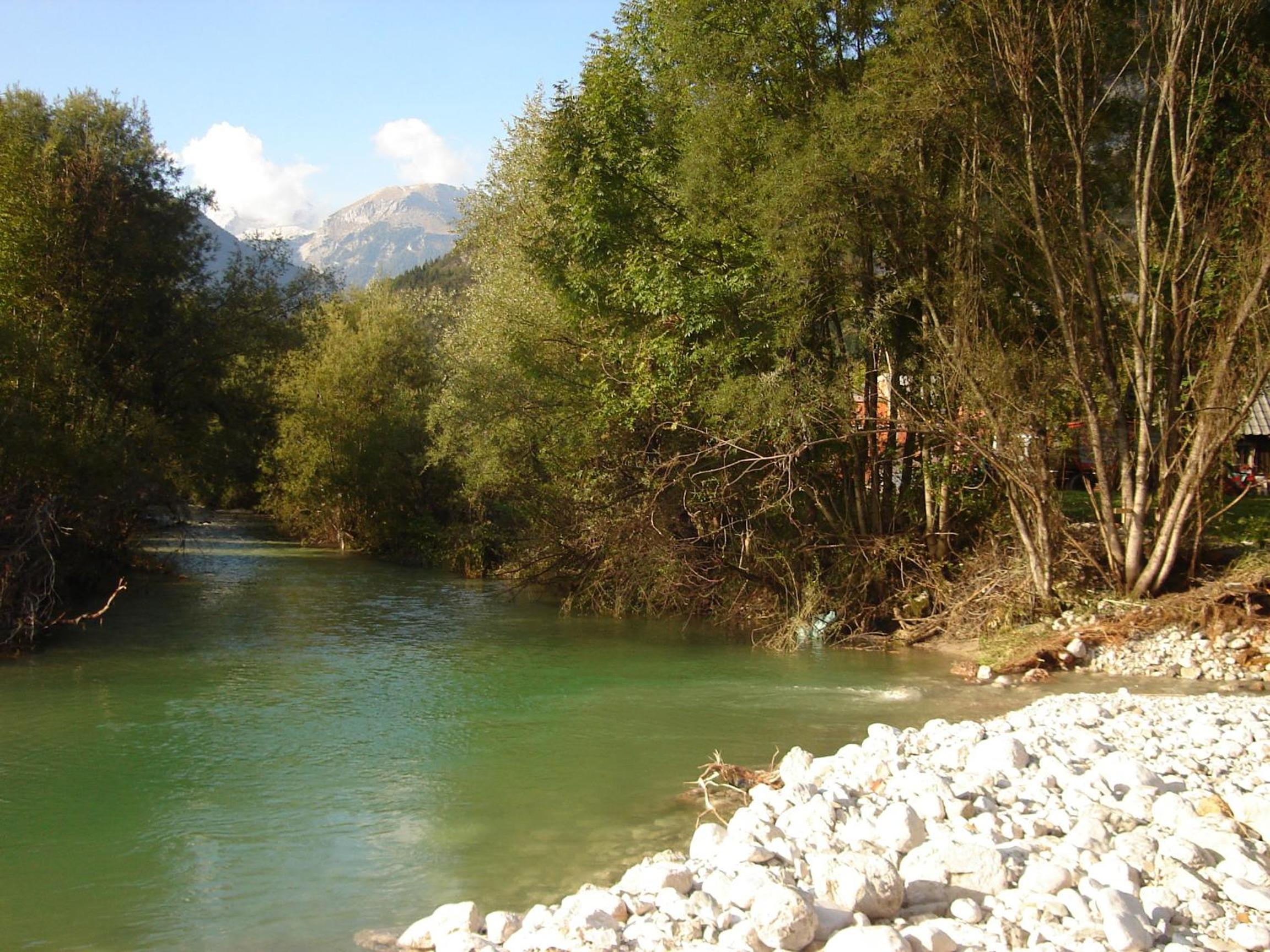 Photo 43
