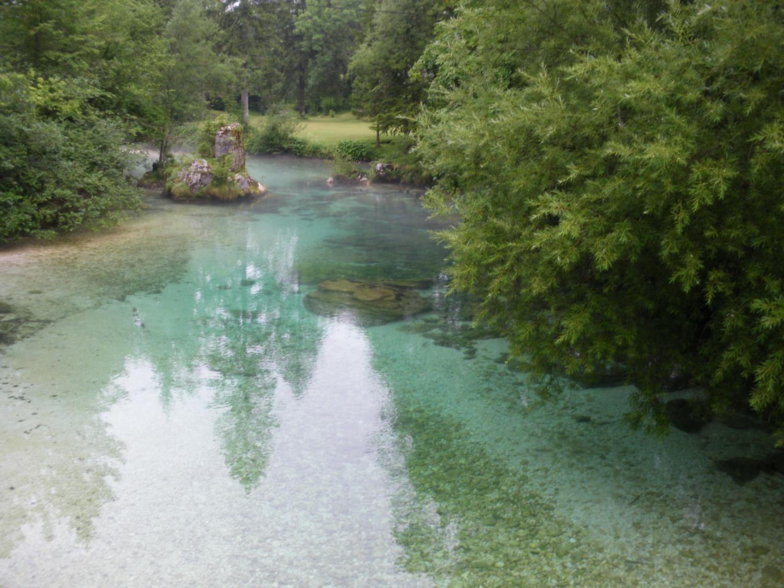 Photo 41