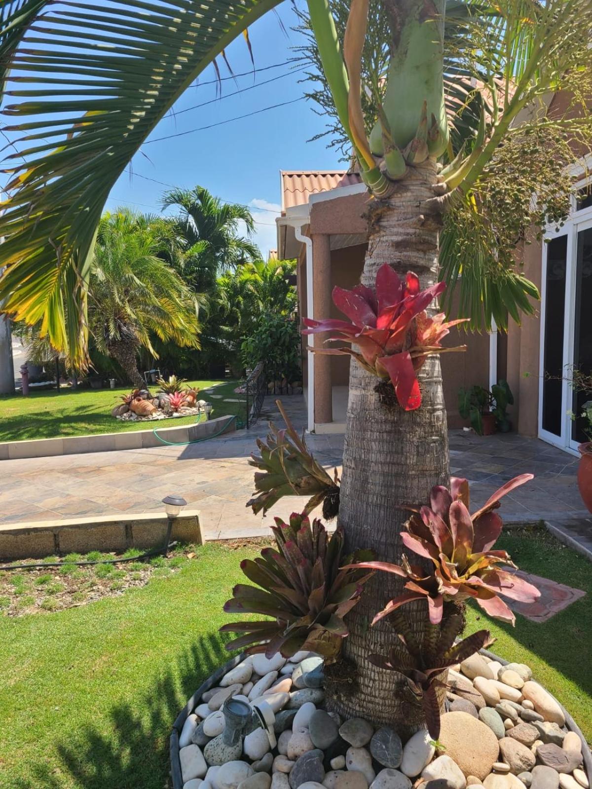Caribbean Estates, 10 mins from the Beach, Beautiful Gated Community view 2