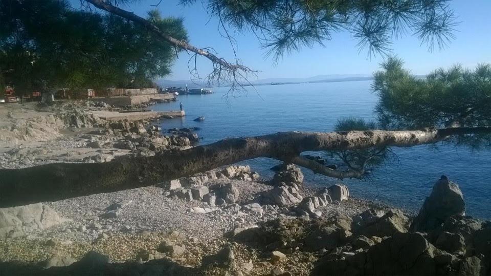 Apartman Luna Rijeka