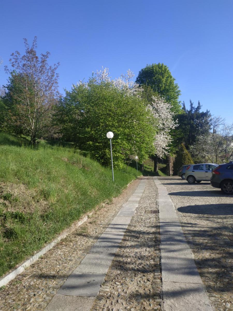 Photo 31