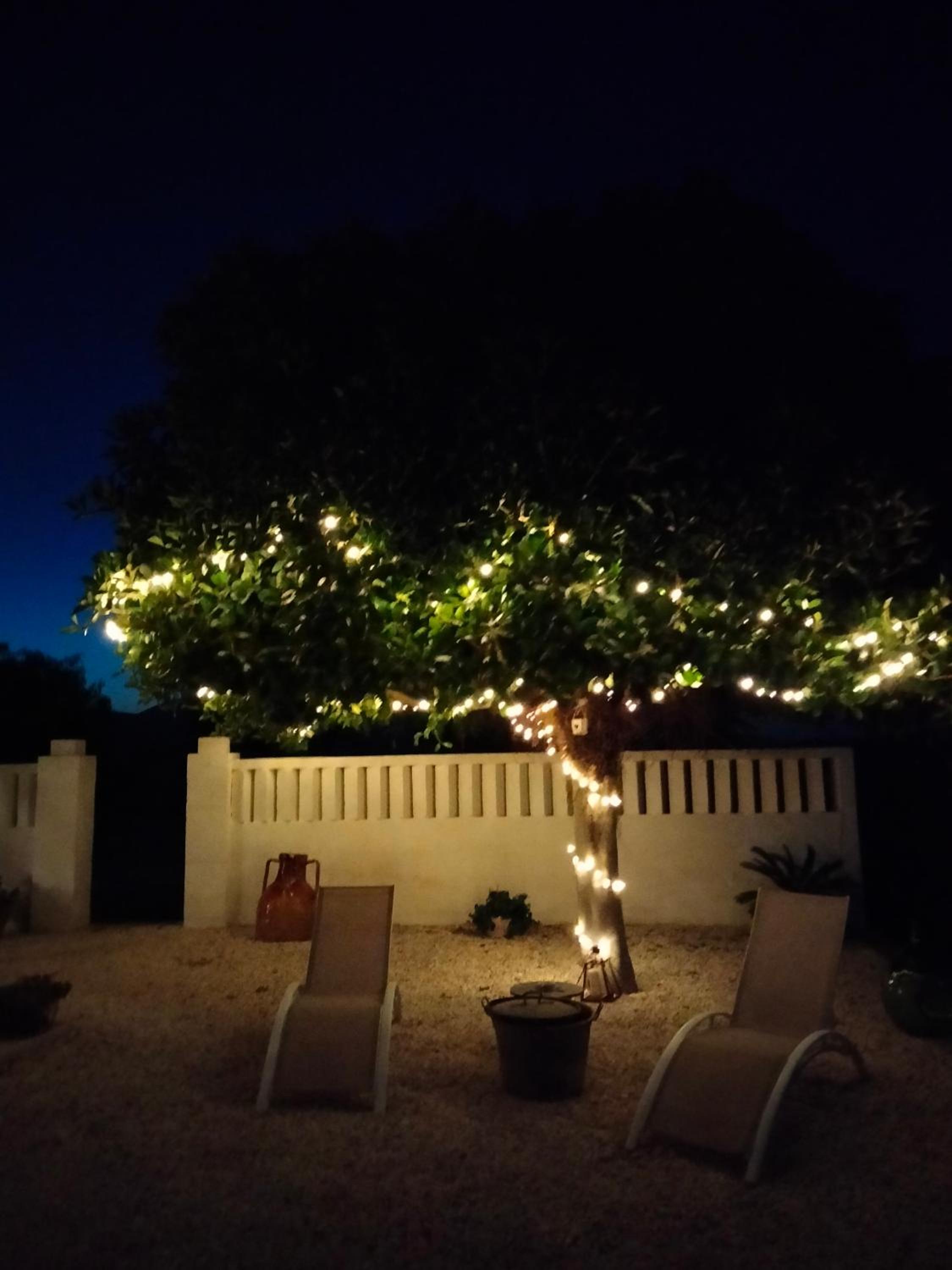 Photo 39