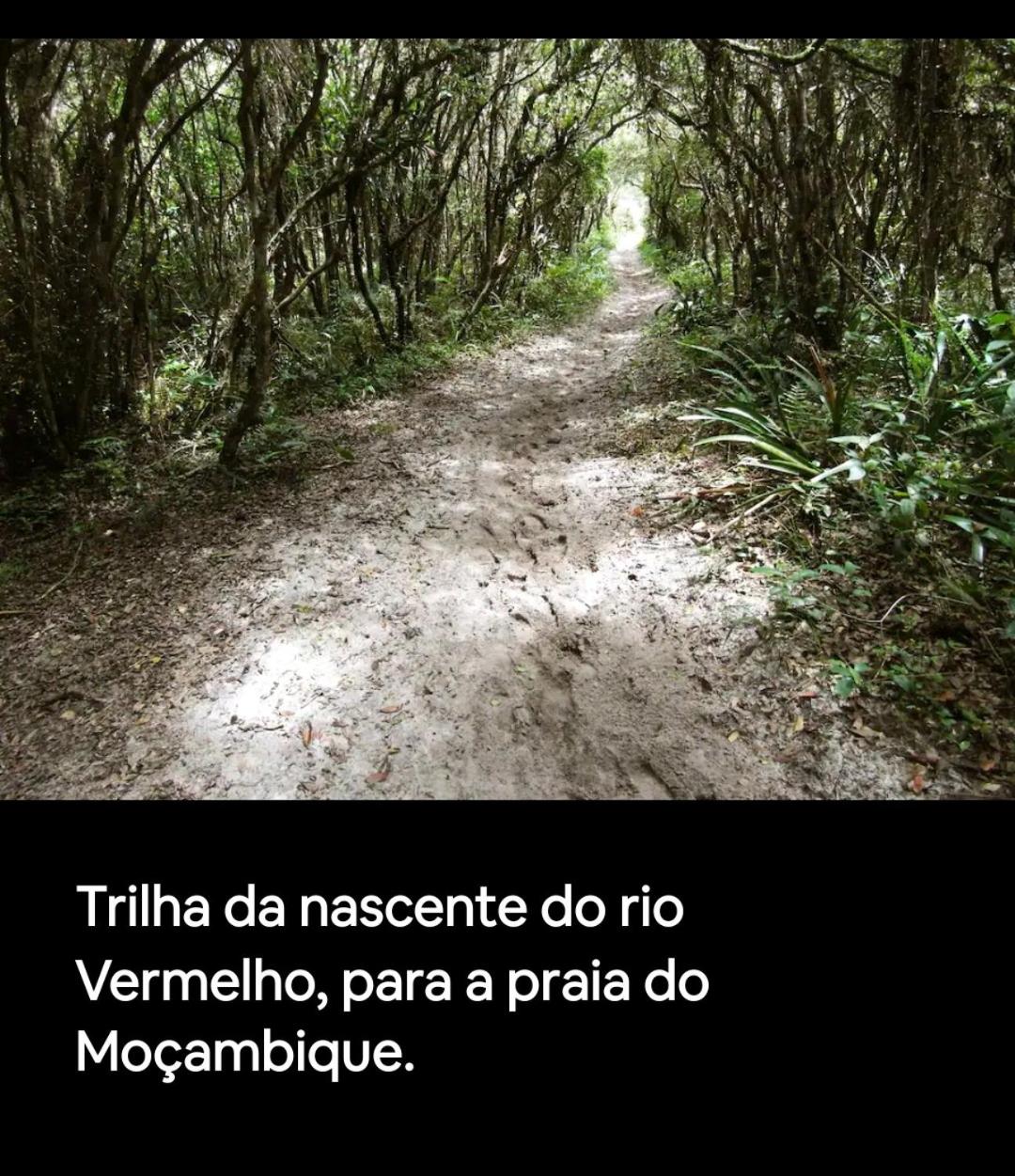 Quinta do Moçambique