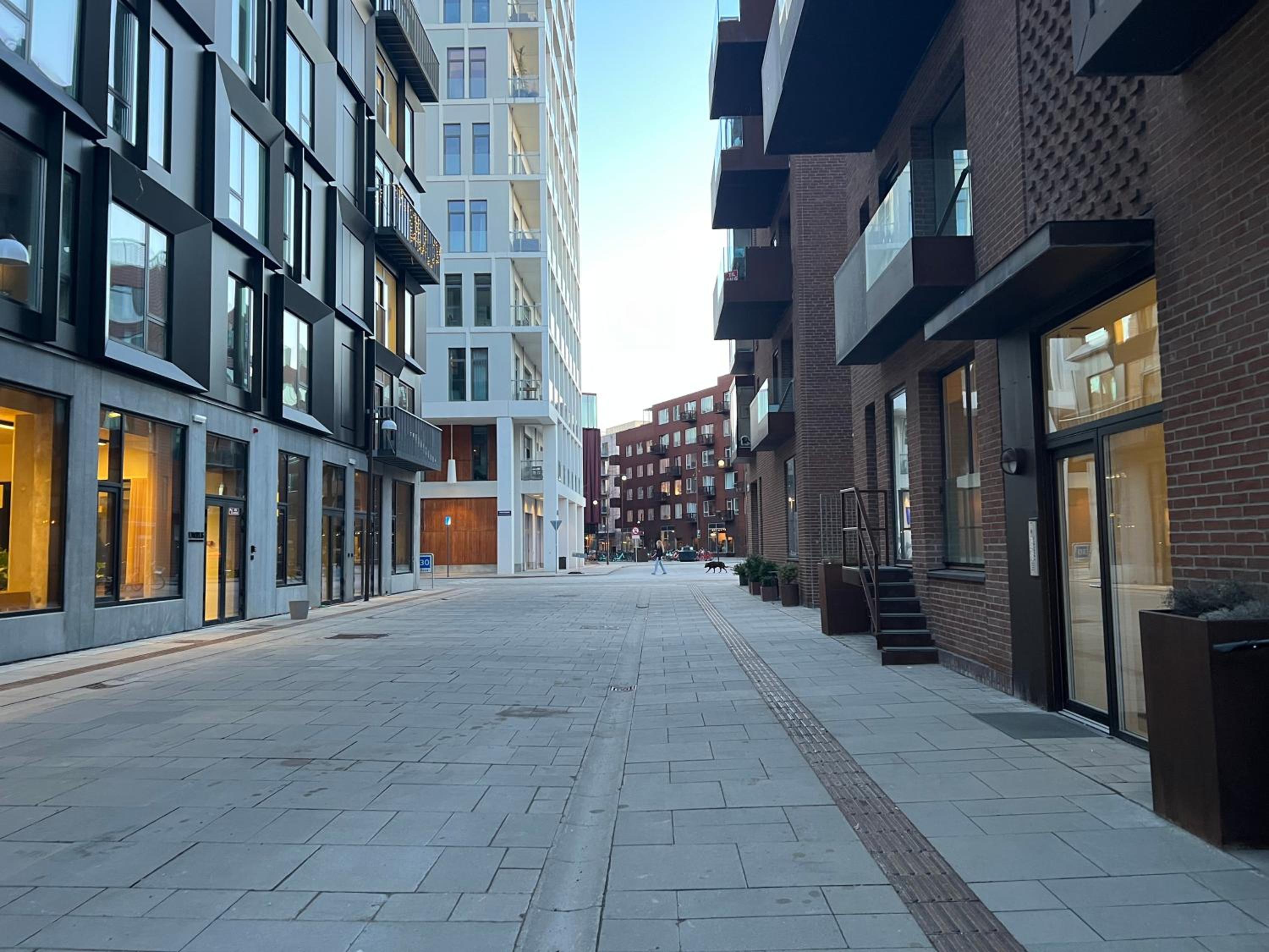 Modern apartment Nordhavn of Copenhagen