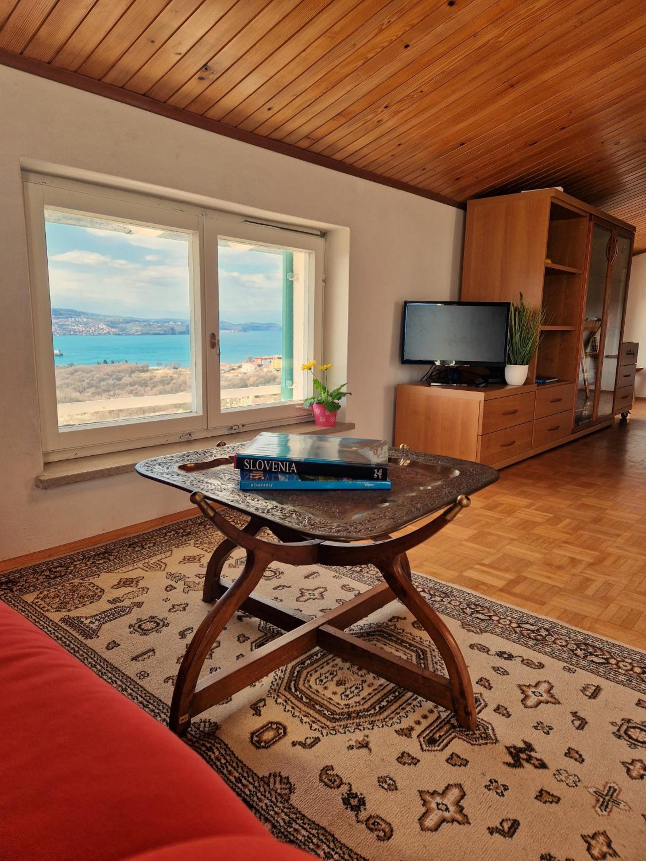 House among olive trees with a sea view 1 view 4