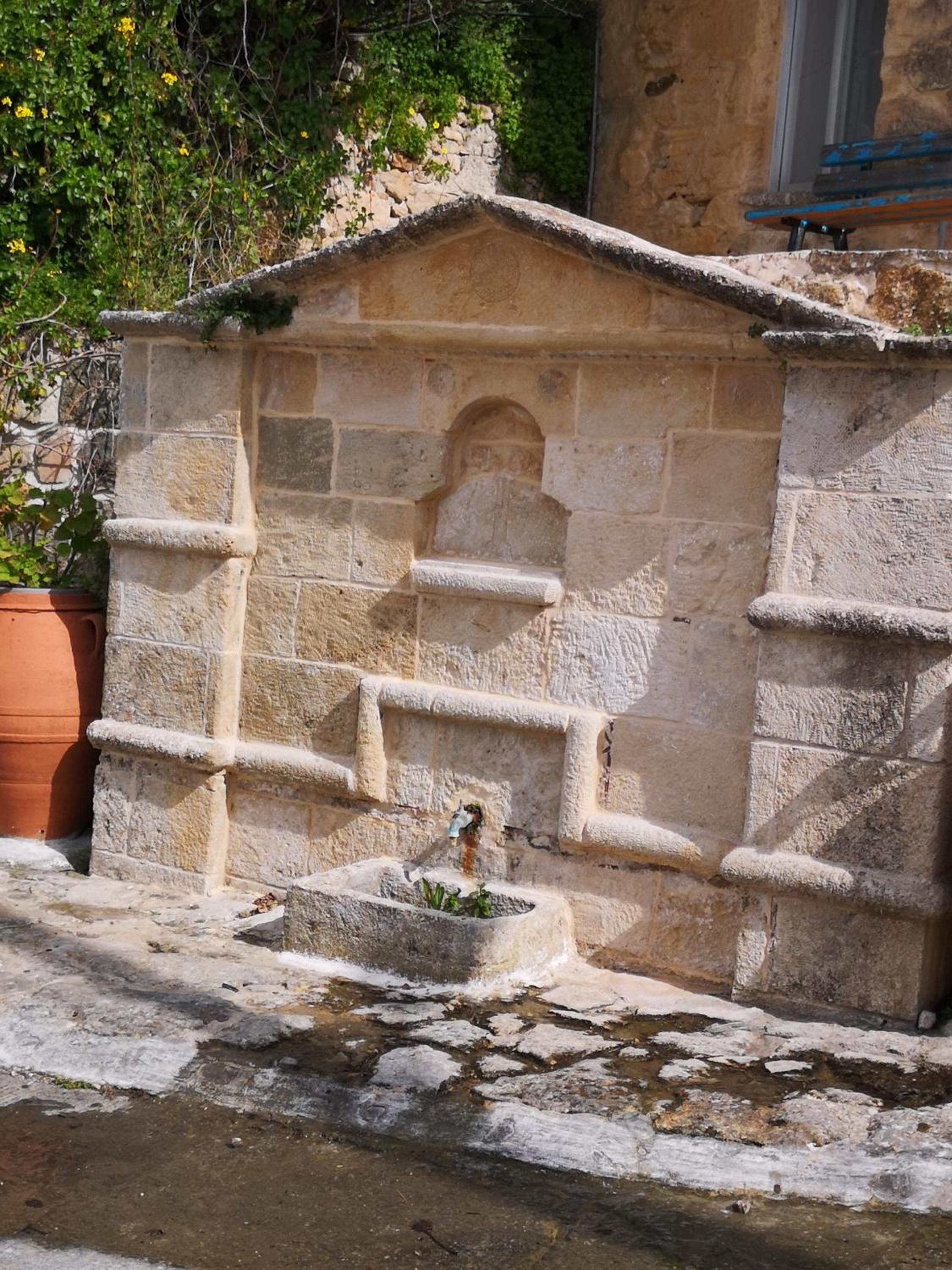 Casa Opuntia