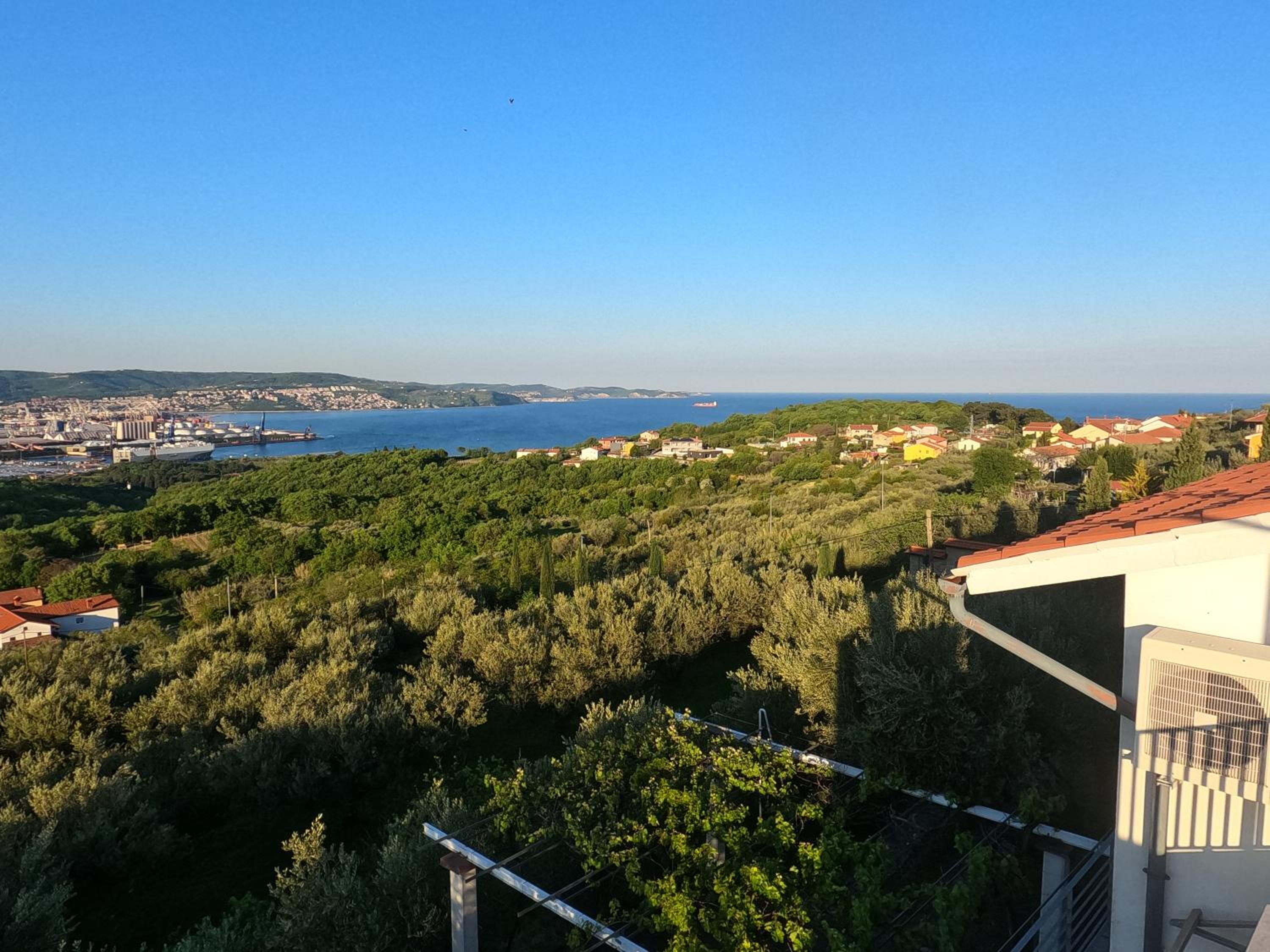 House among olive trees with a sea view 1 view 3