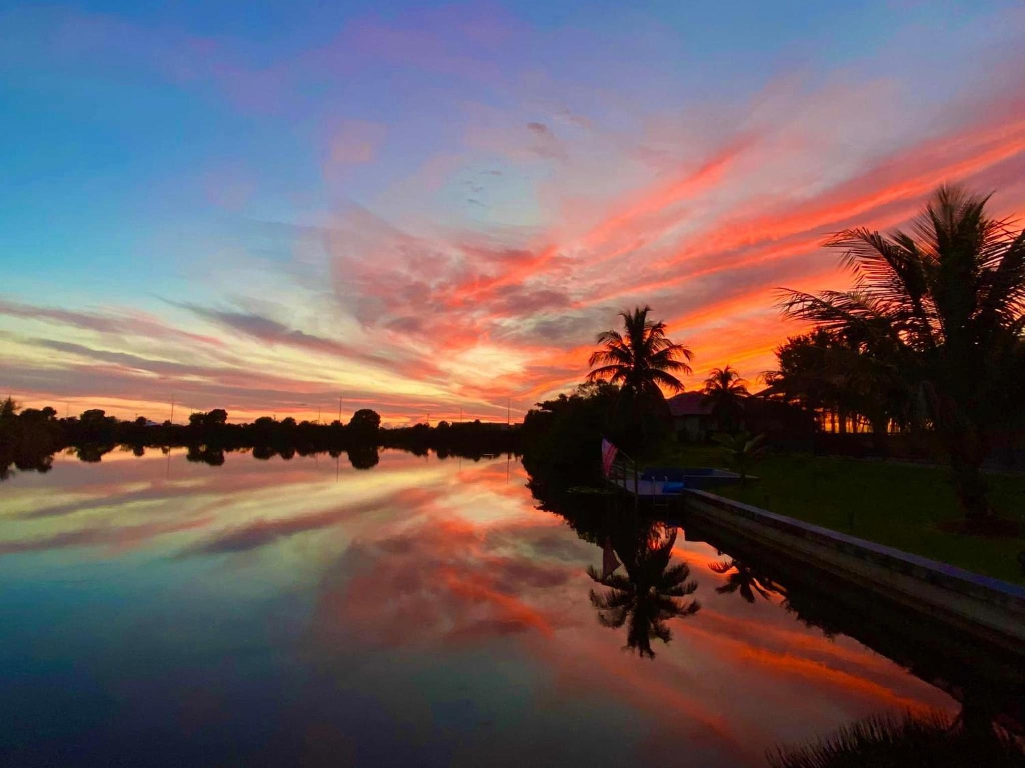 Cape Coral Wildlife Views-Heated Pool-Pet Friendly view 3